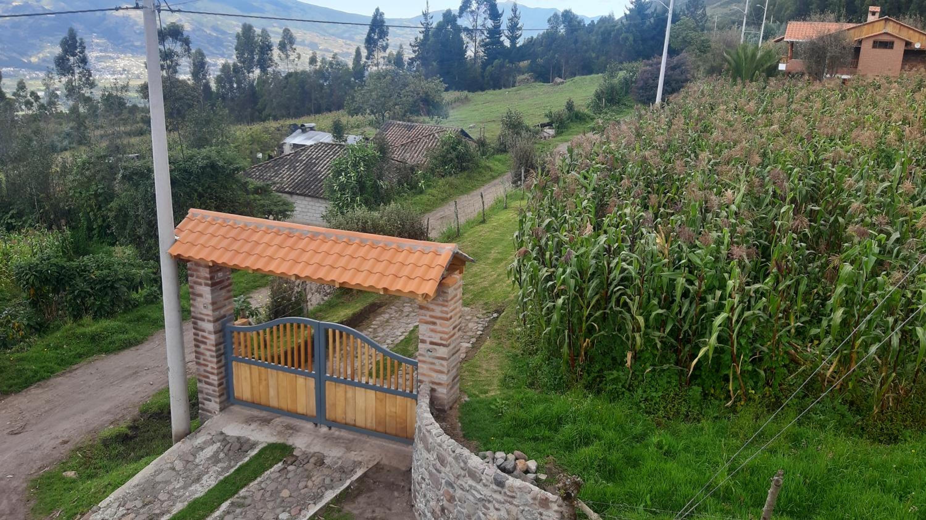 Photo 19