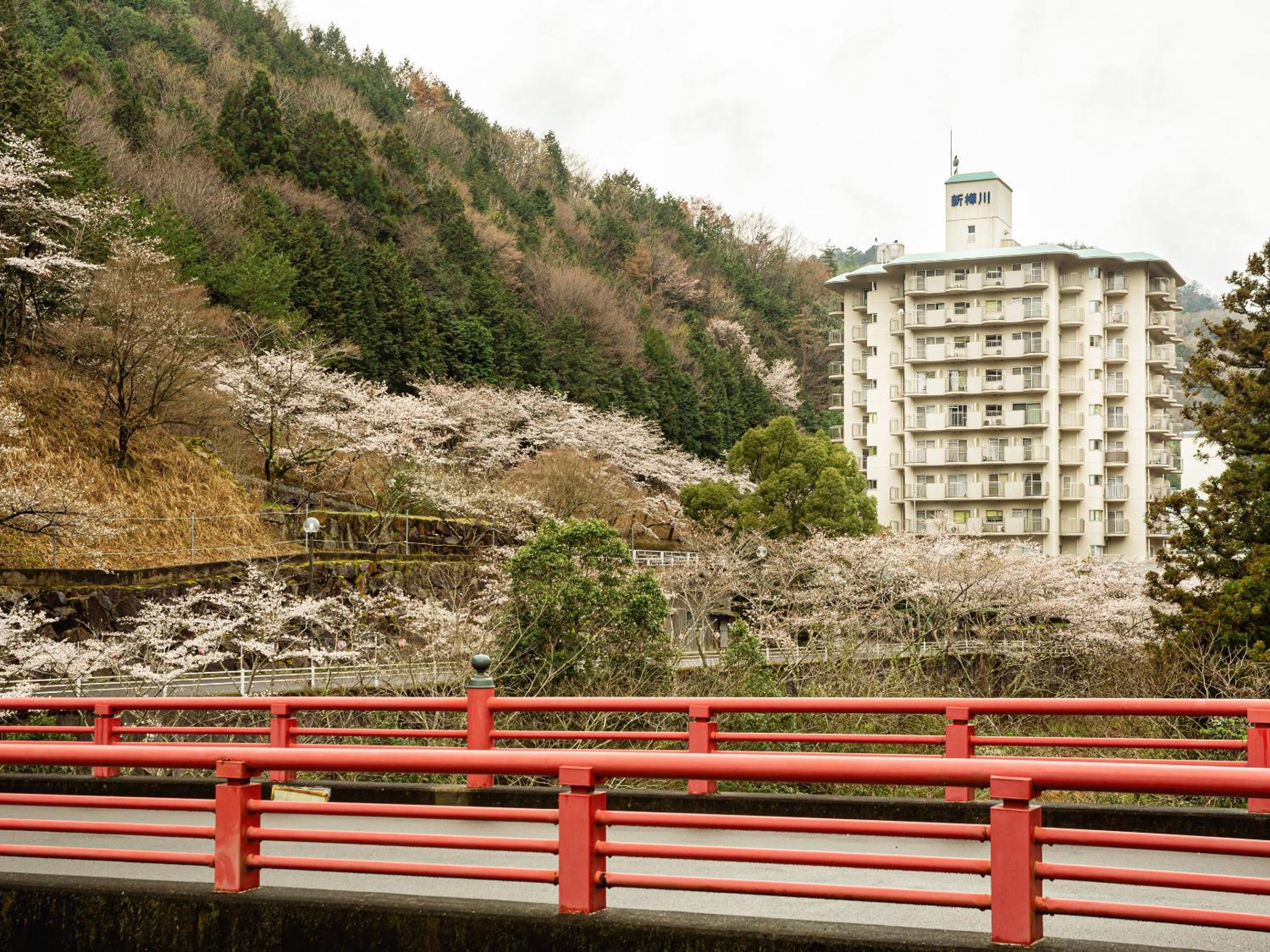 Shin Kabakawa Kanko Hotel