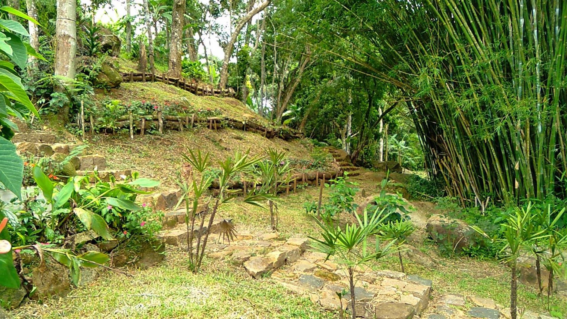 Pousada Hang Jurerê-Floripa Conectada com a Natureza