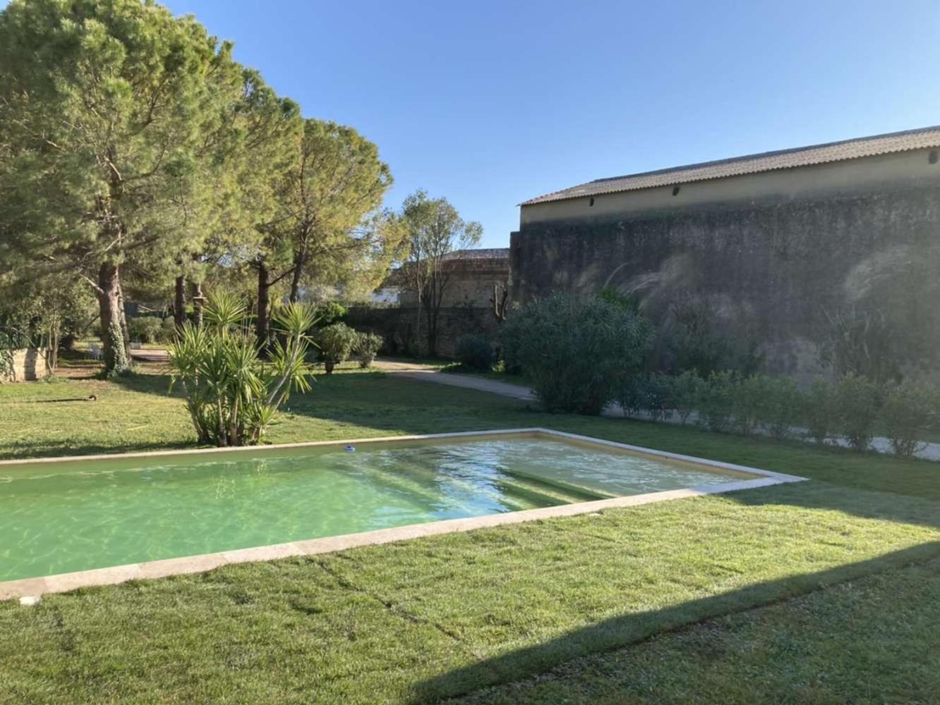 Le Patio, chambres d hôtes pour adultes en Camargue, possibilité de naturisme à la piscine,, photo 40