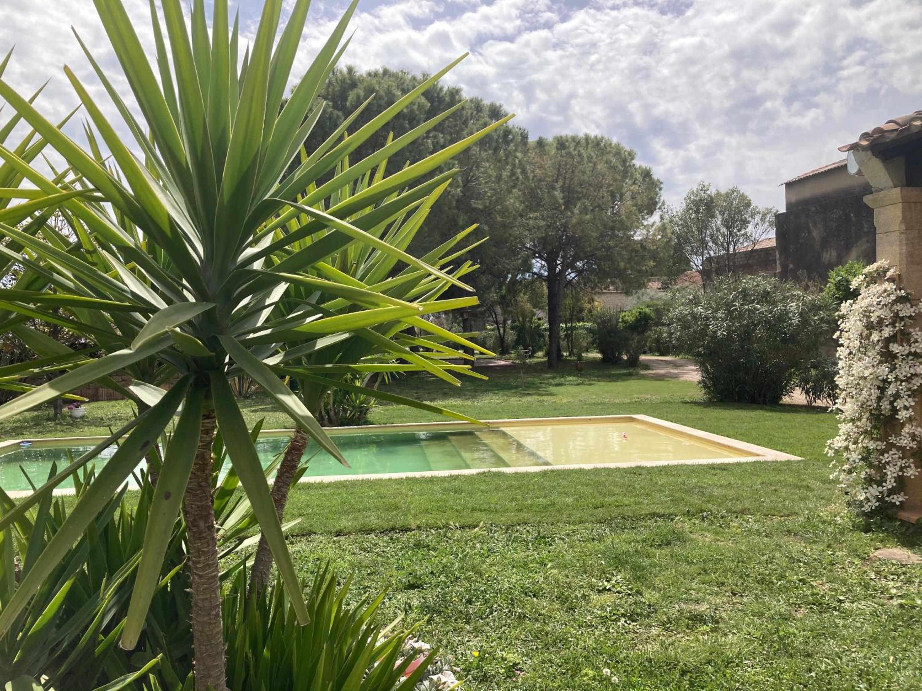 Le Patio, chambres d hôtes pour adultes en Camargue, possibilité de naturisme à la piscine,, photo 37