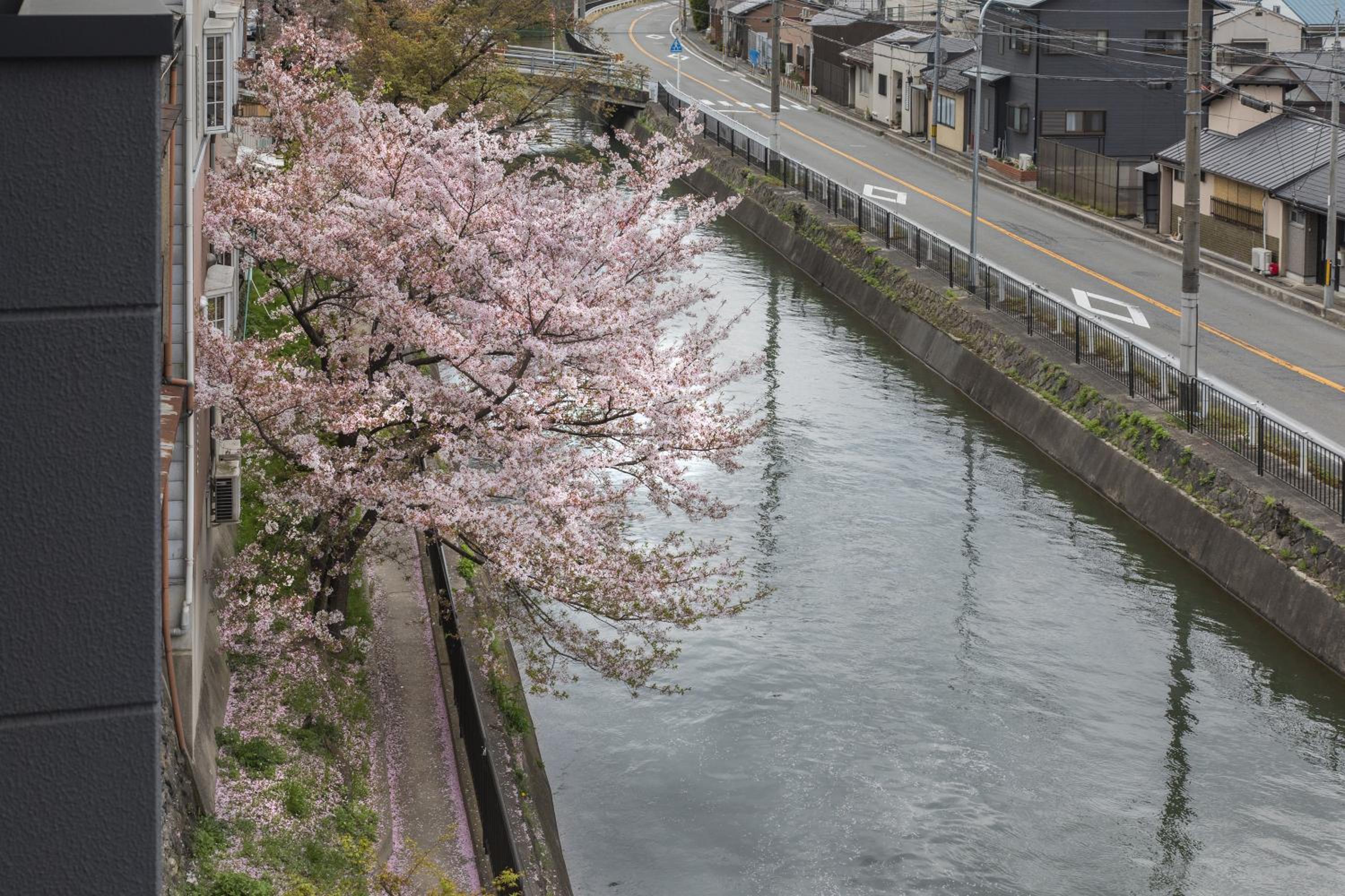 Tofukuji Riverside