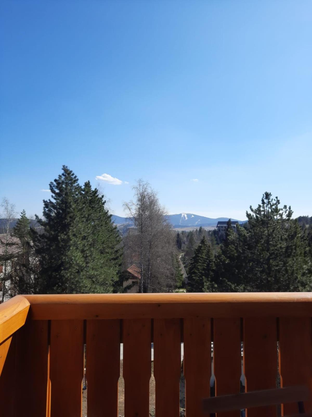 Apartman 202 Zlatibor view 3