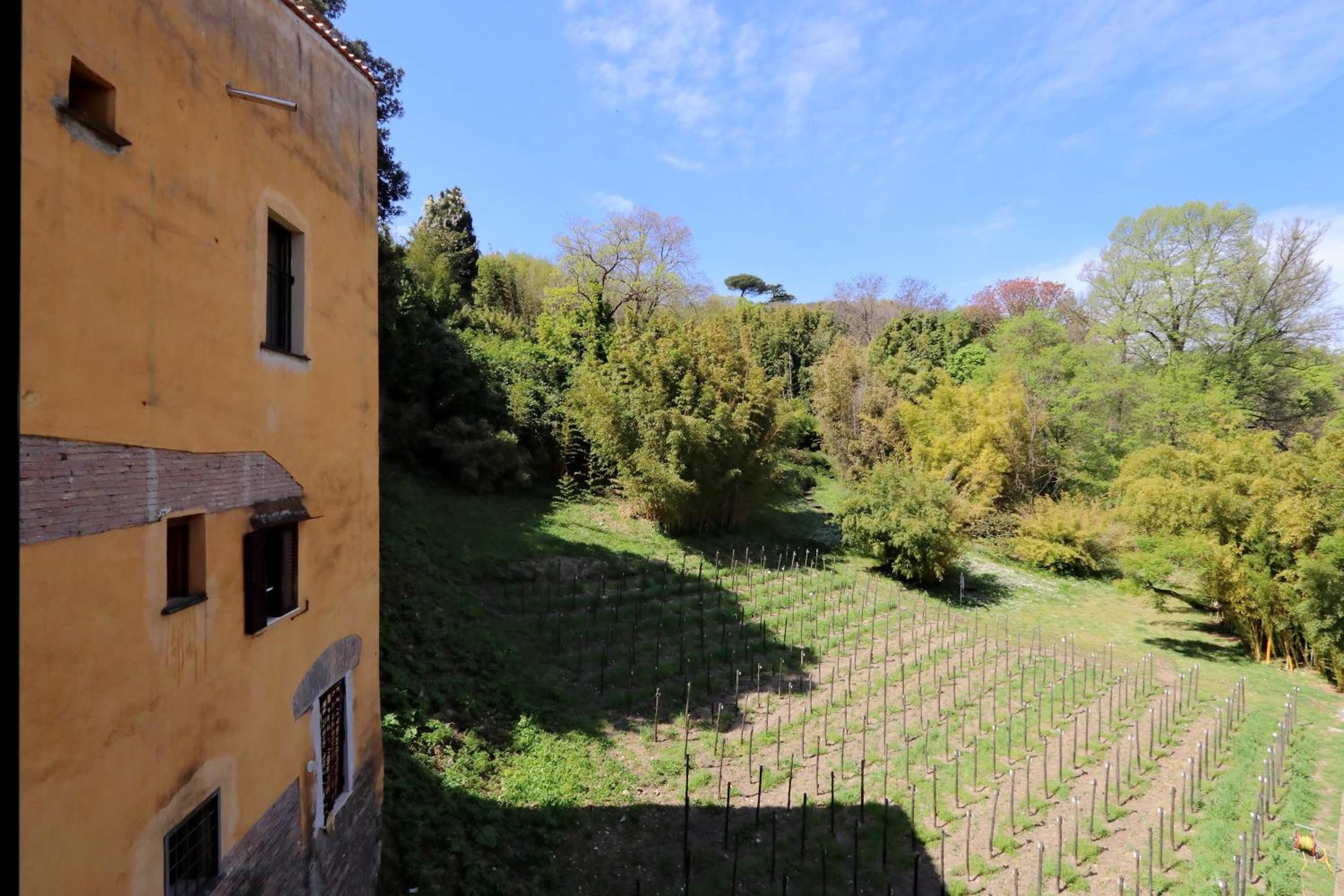 Il mulino di Trastevere - My Extra Home
