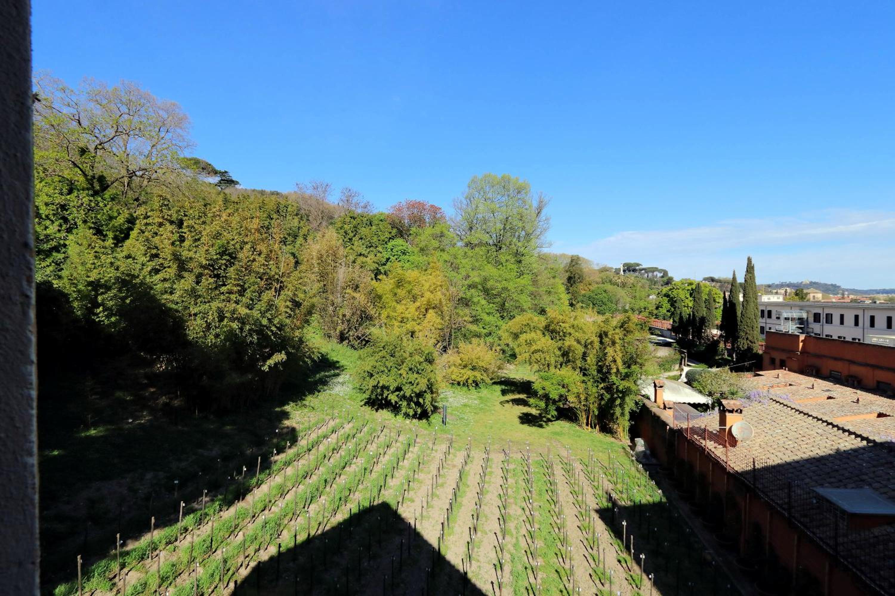 Il mulino di Trastevere - My Extra Home