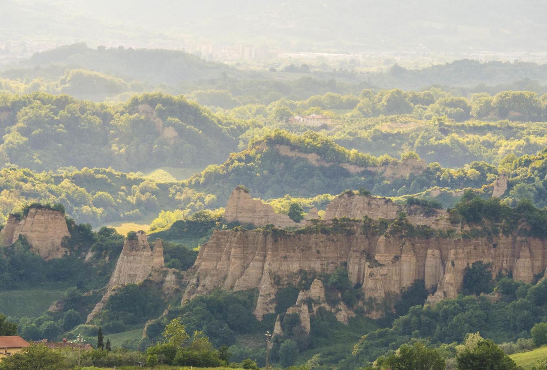 Agriturismo Cafaggio Primo