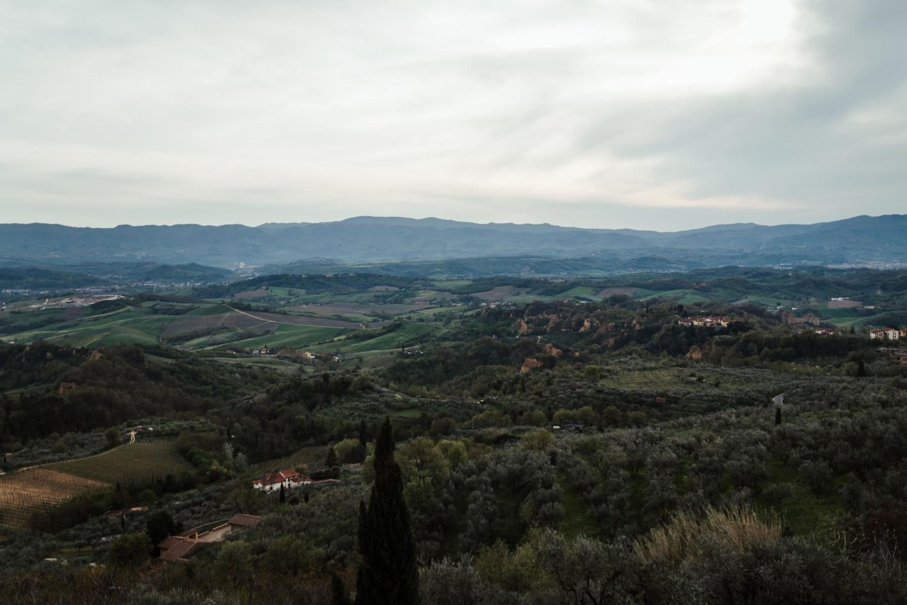 Agriturismo Cafaggio Primo