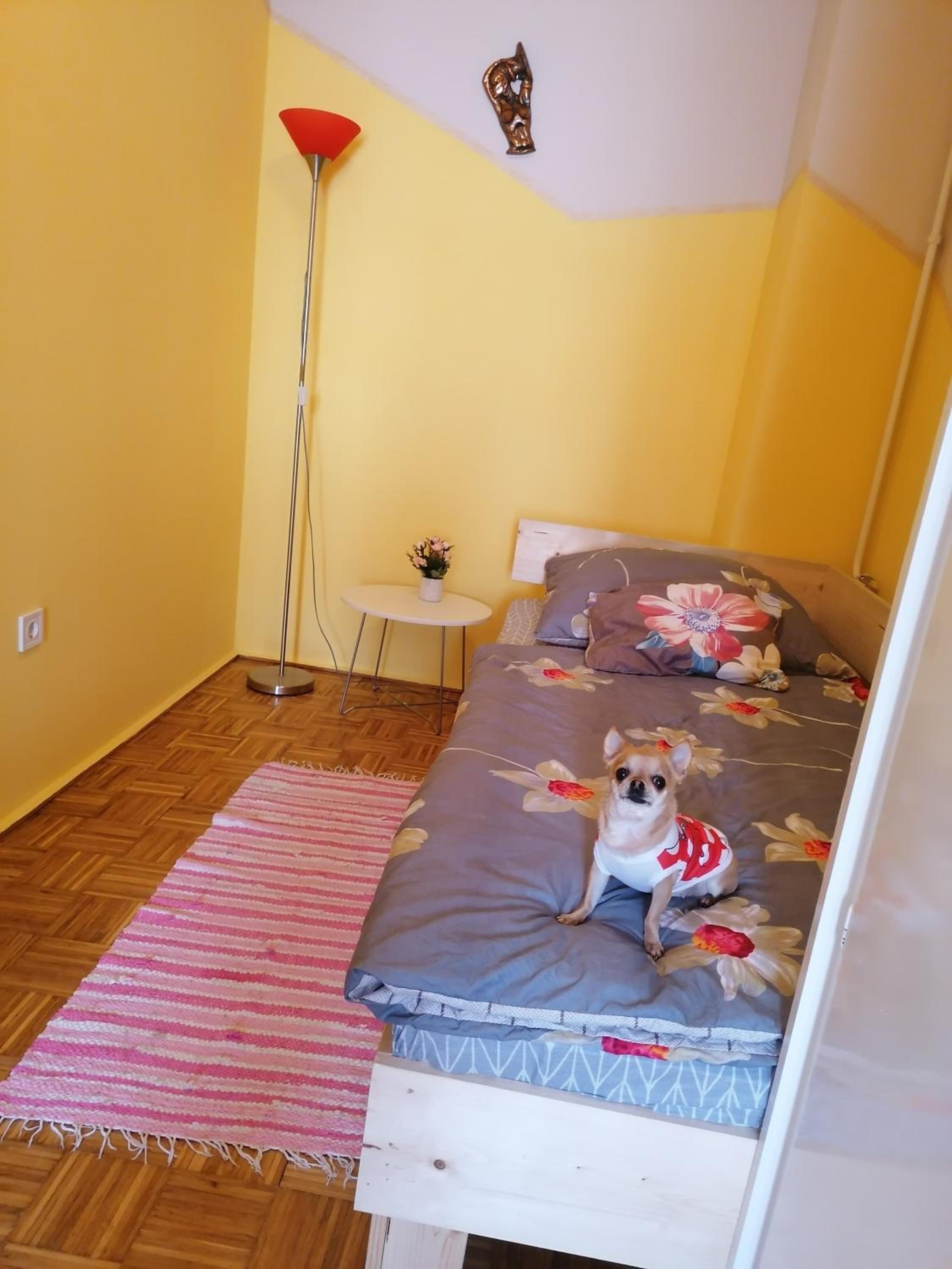 Photo 17