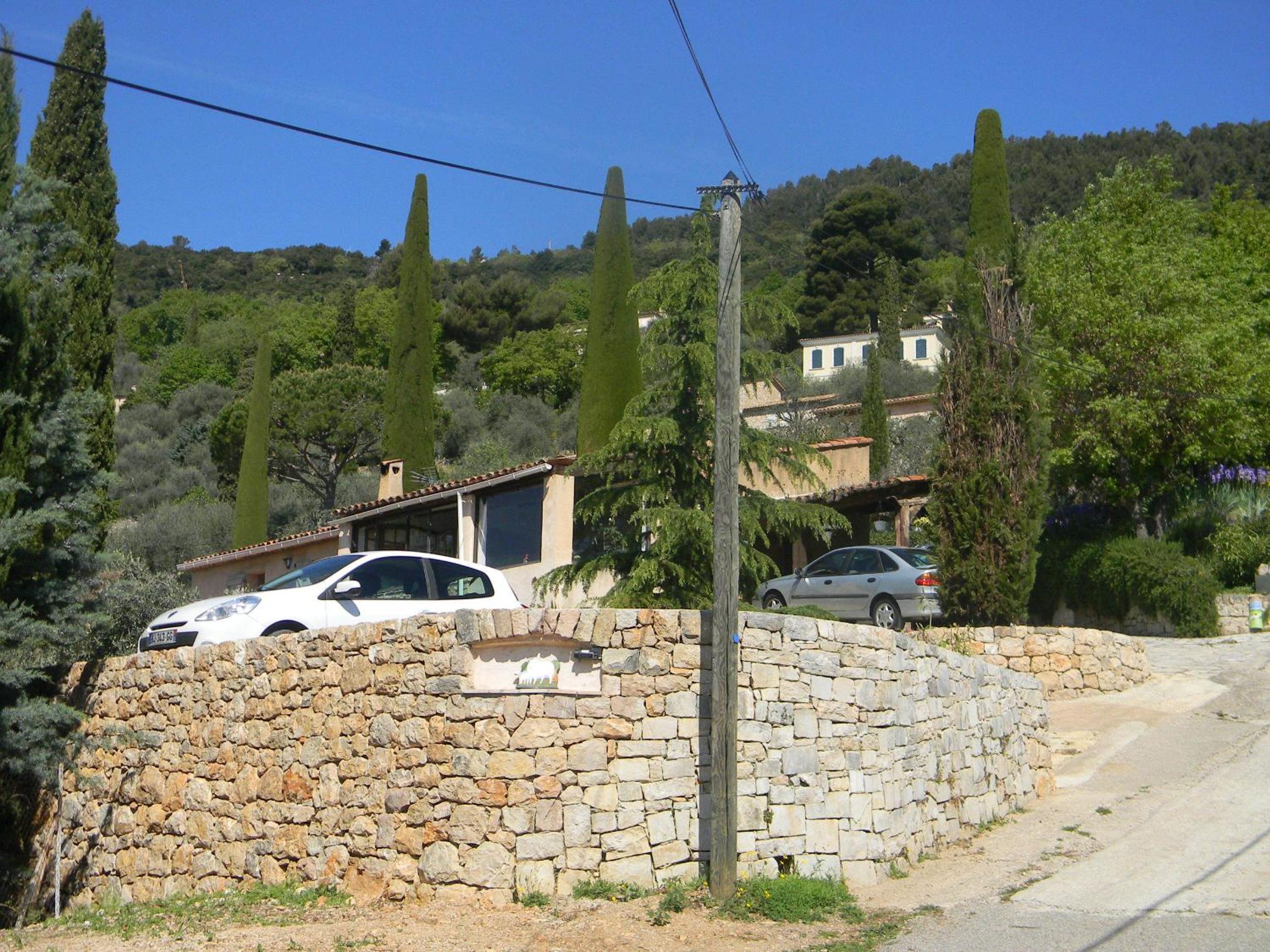 Photo 11