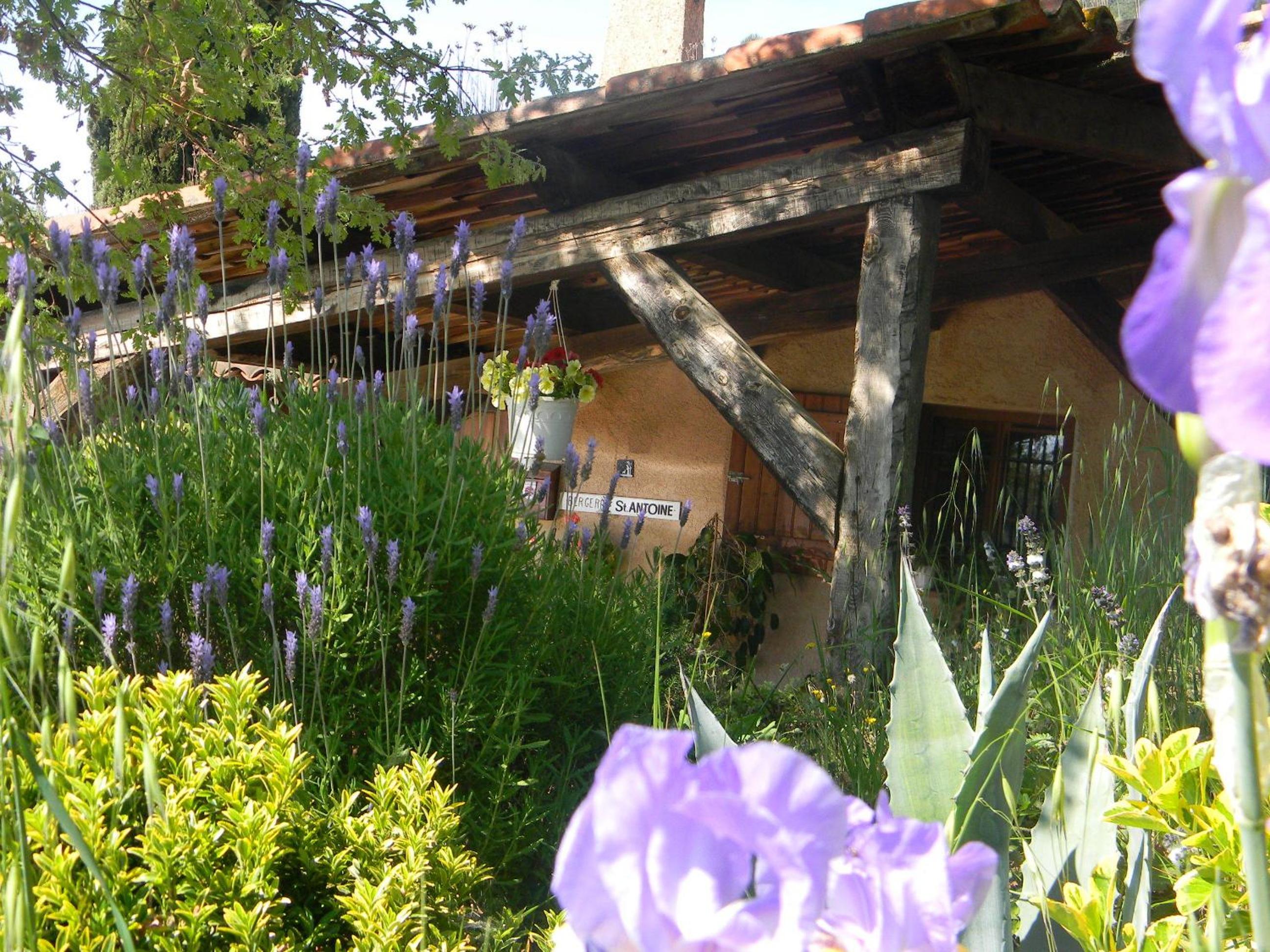 Photo 12