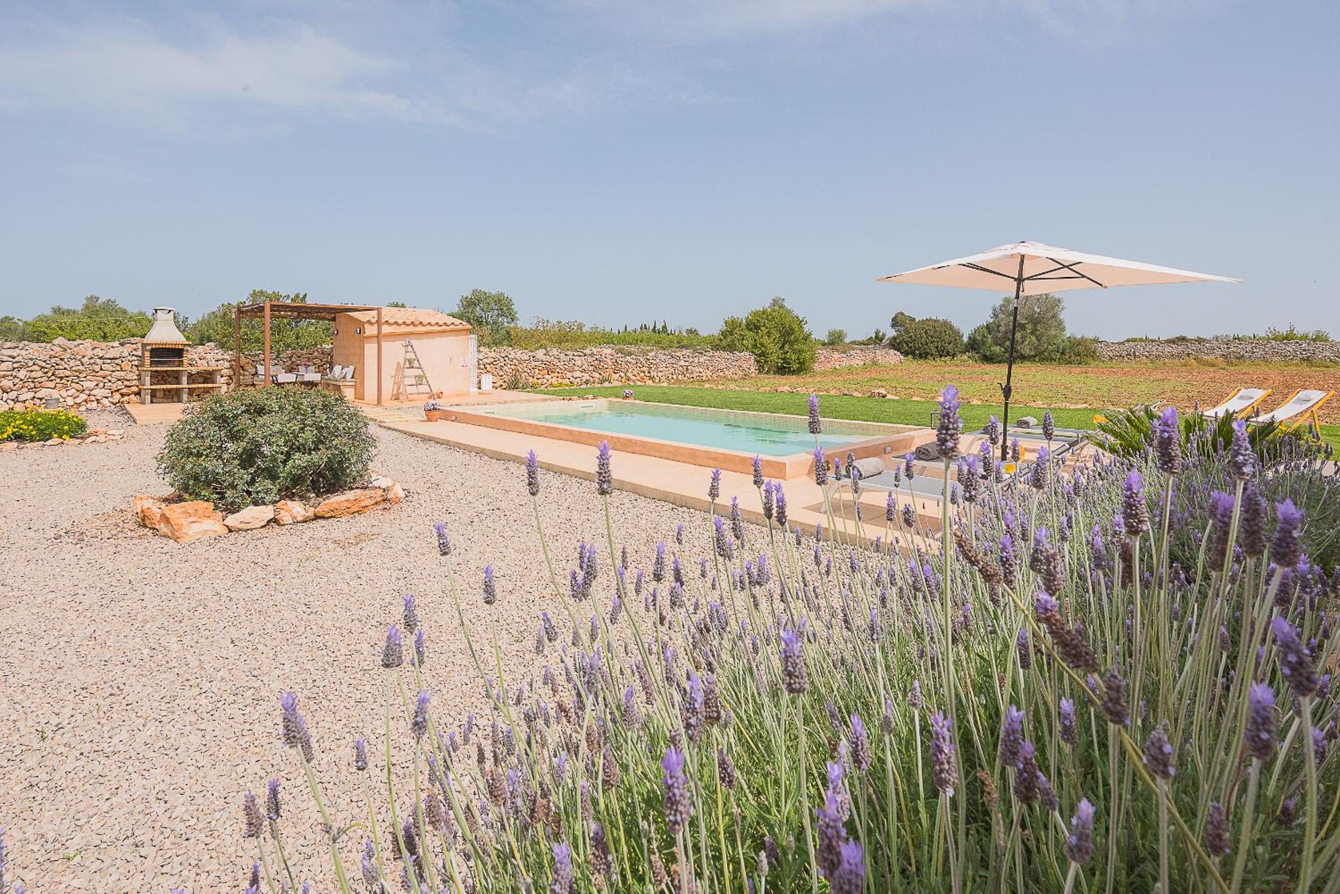 Finca Tanca Gran