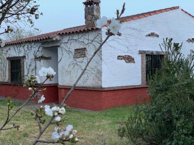 Photo 27