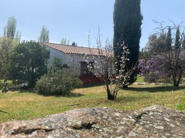 Photo 28