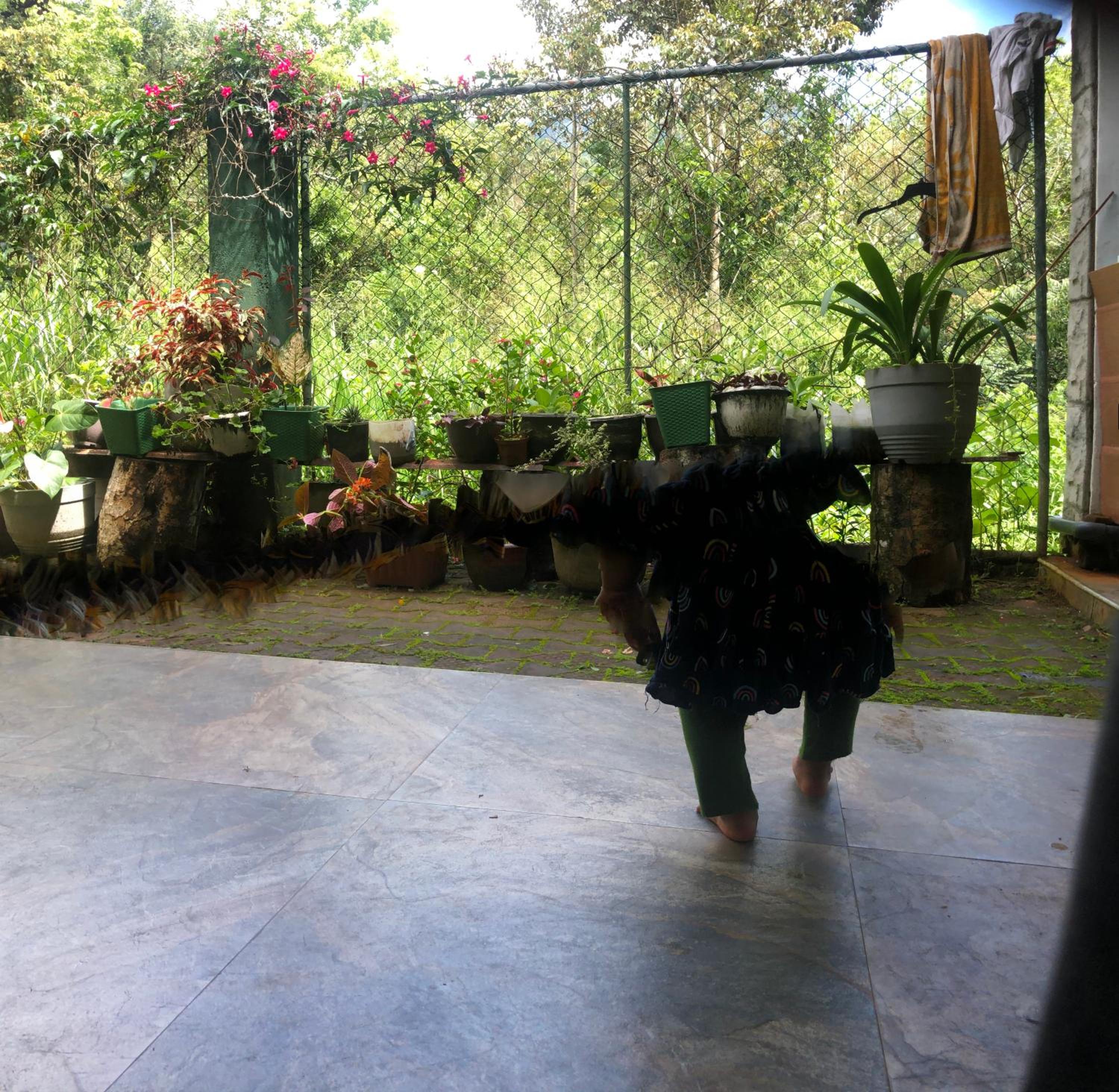 Photo 48