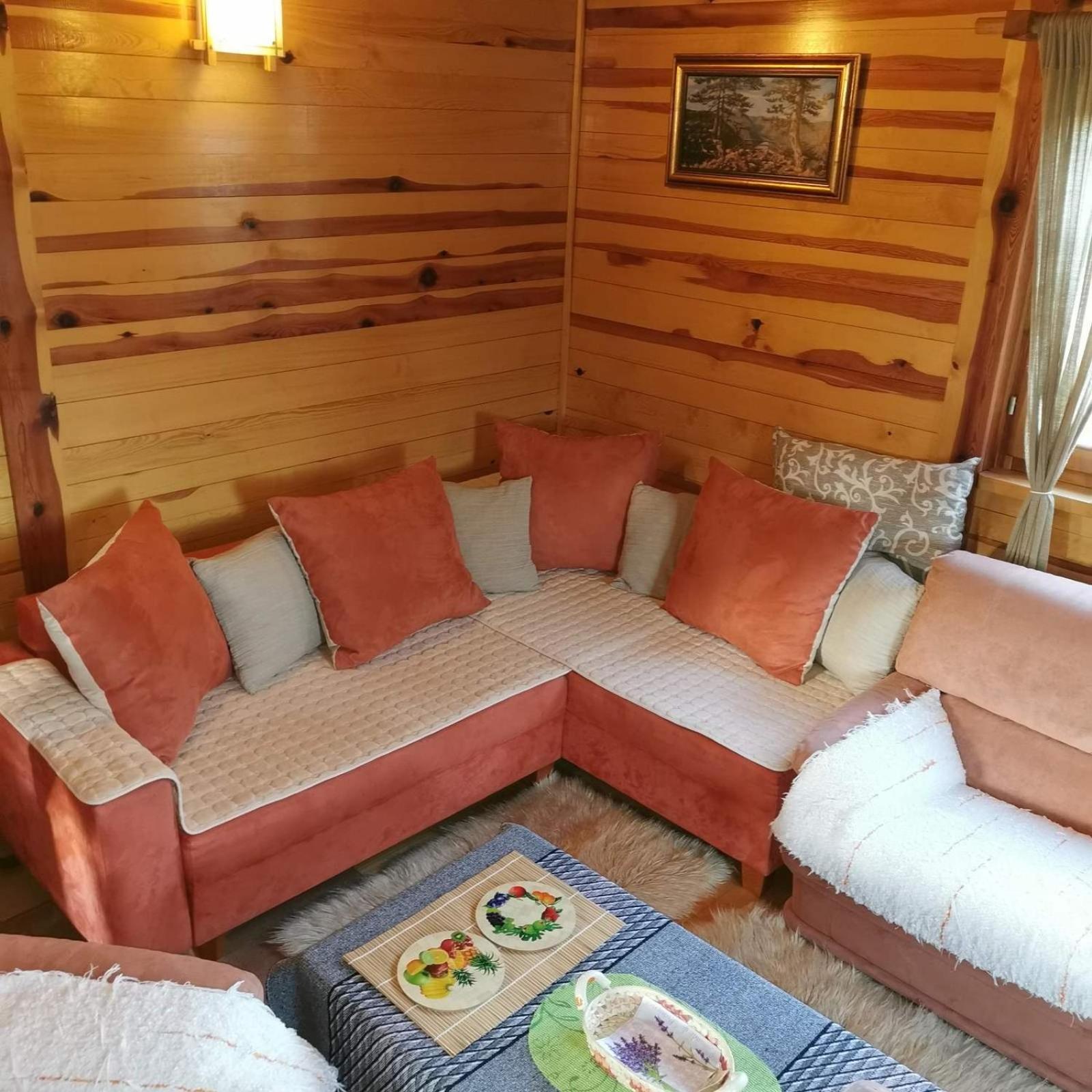 Brvnara Tara view 5