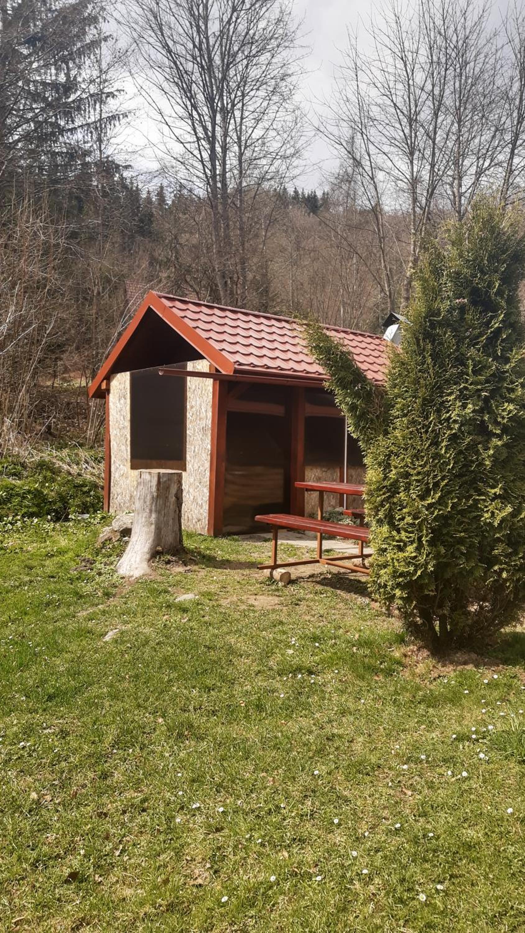Photo 15