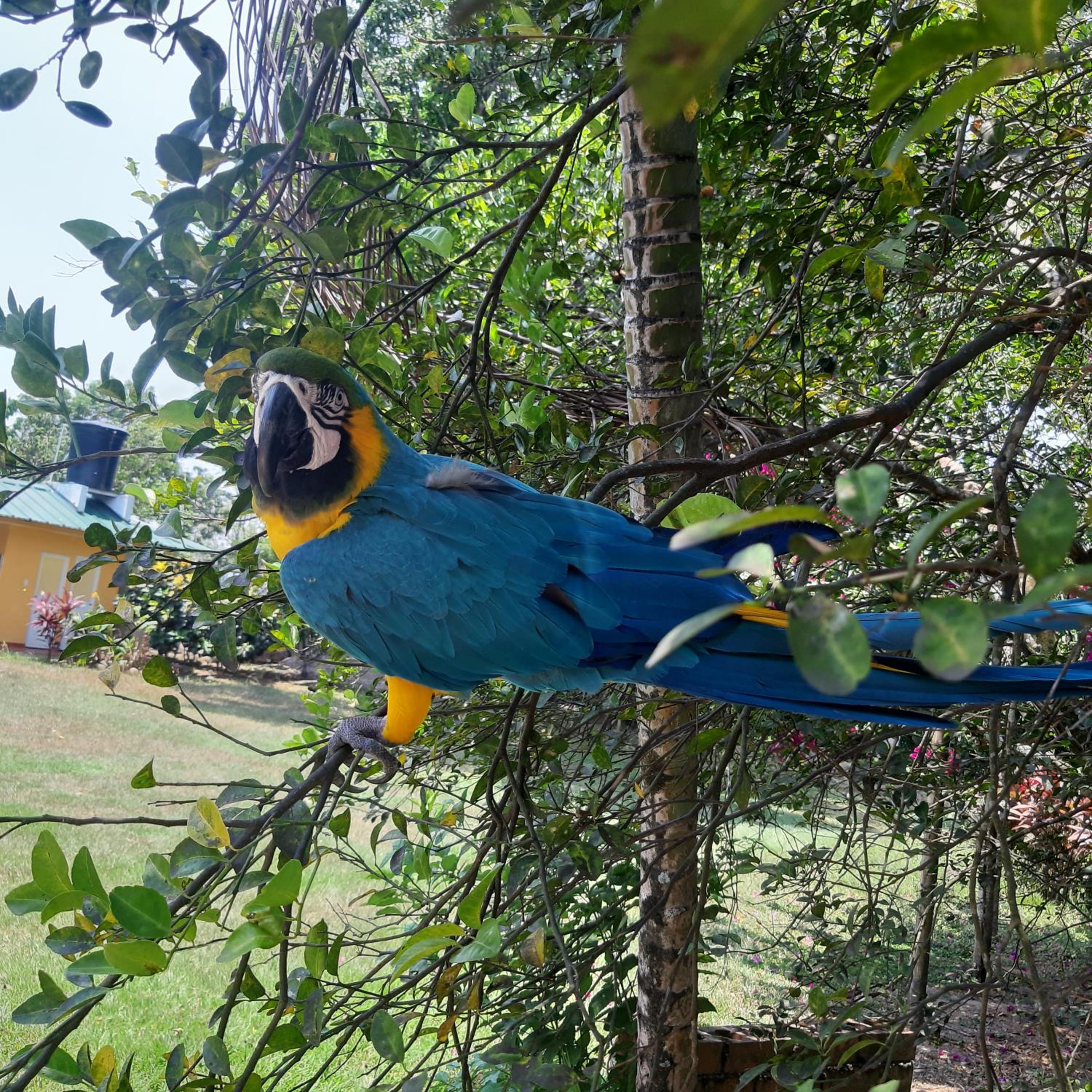 Finca La Perla Yopal