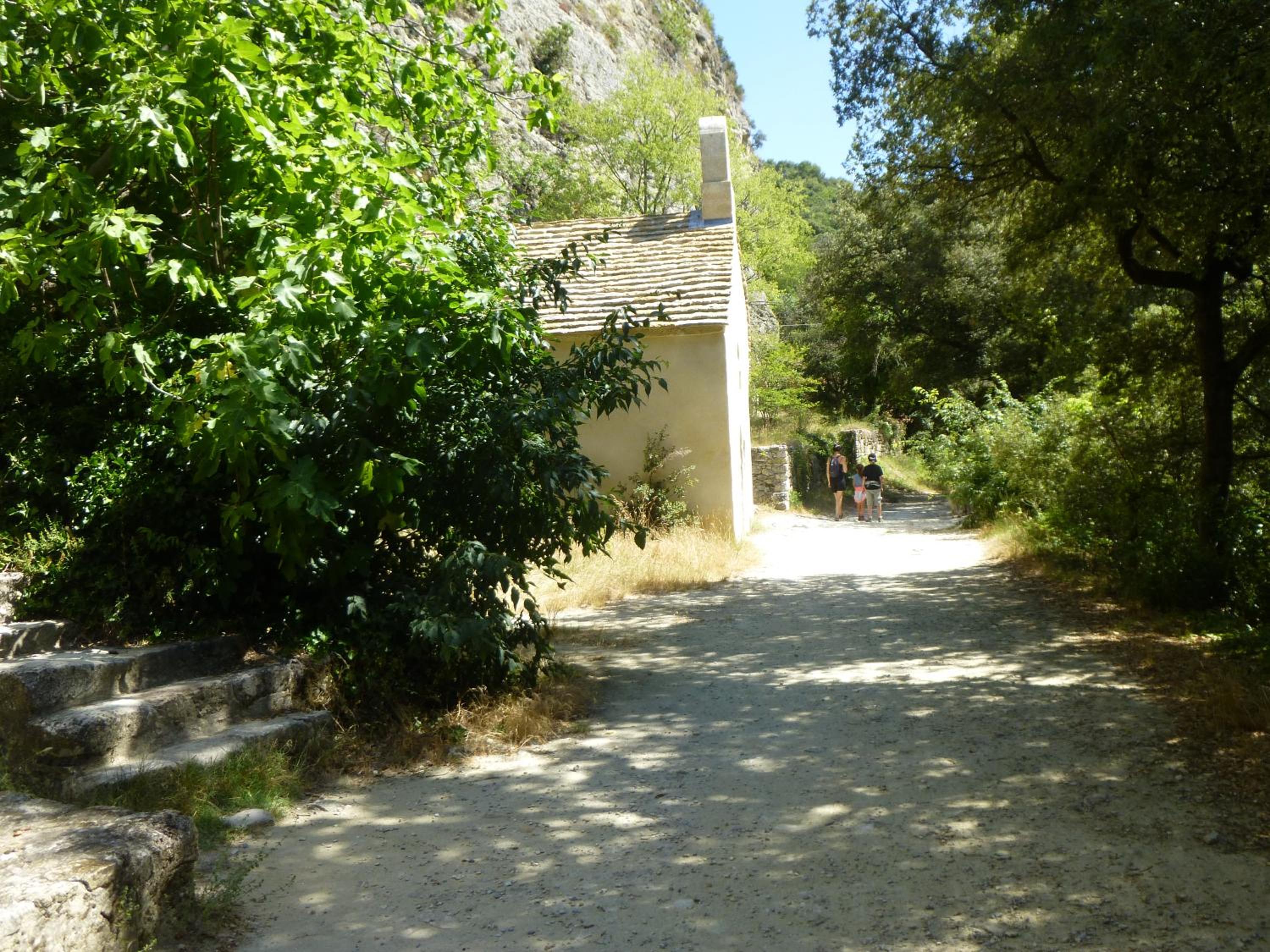 Photo 25