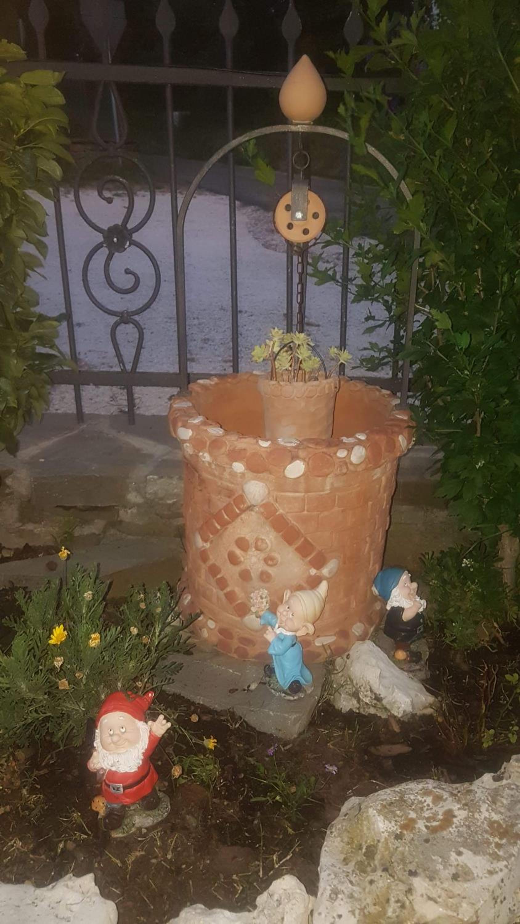 Photo 19
