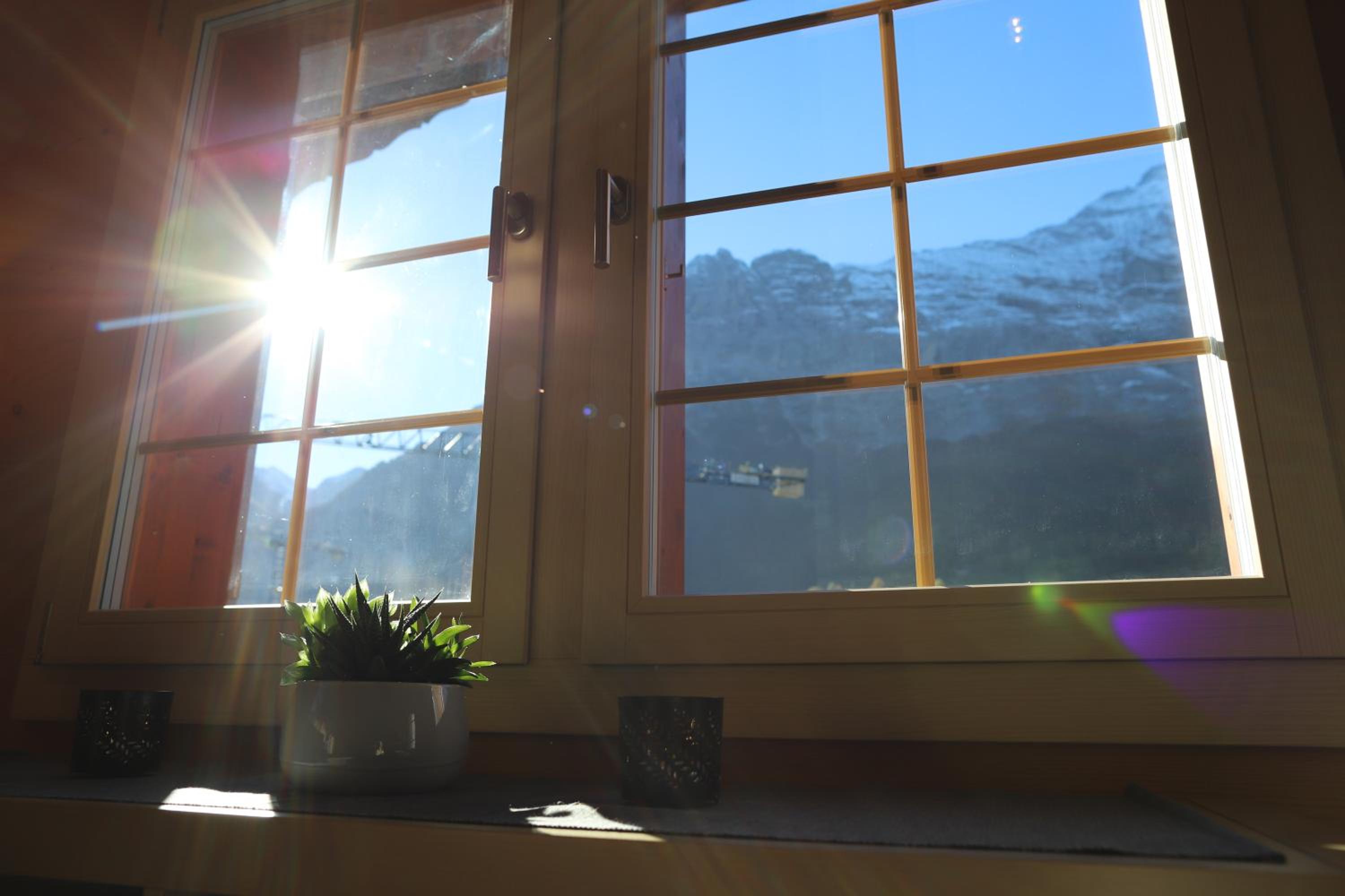 Excellent flat with a fantastic view of the Eiger!