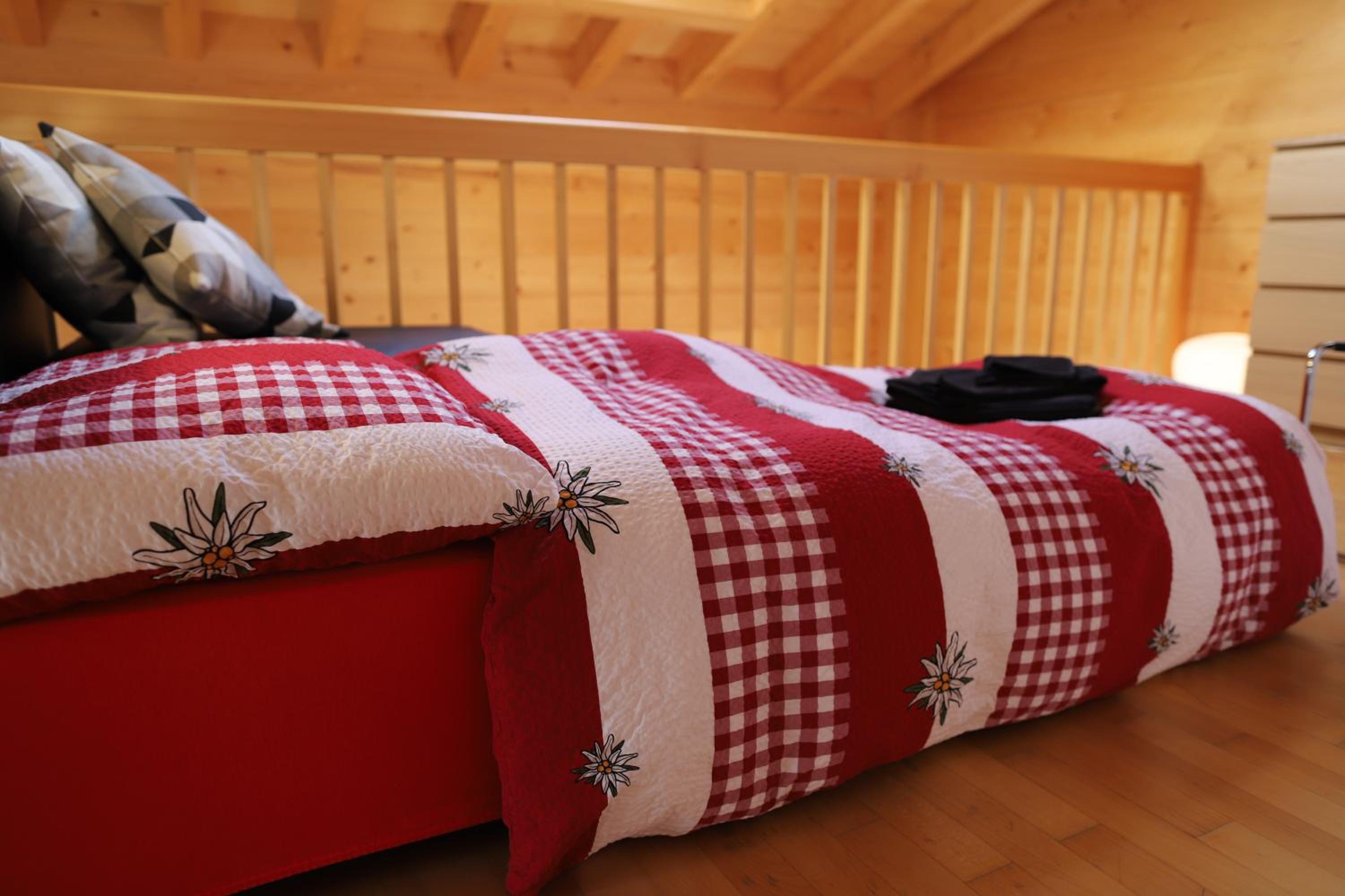 Excellent flat with a fantastic view of the Eiger!