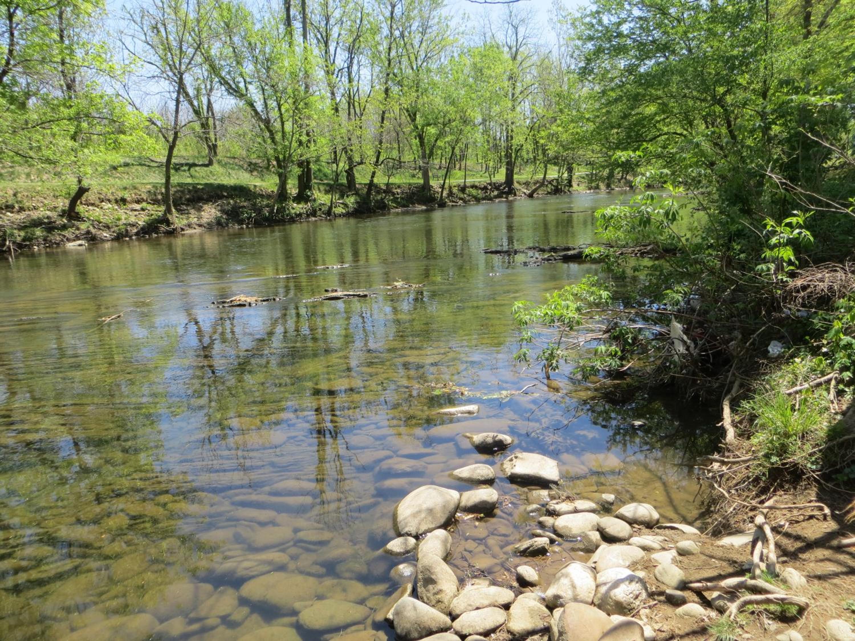 Photo 40