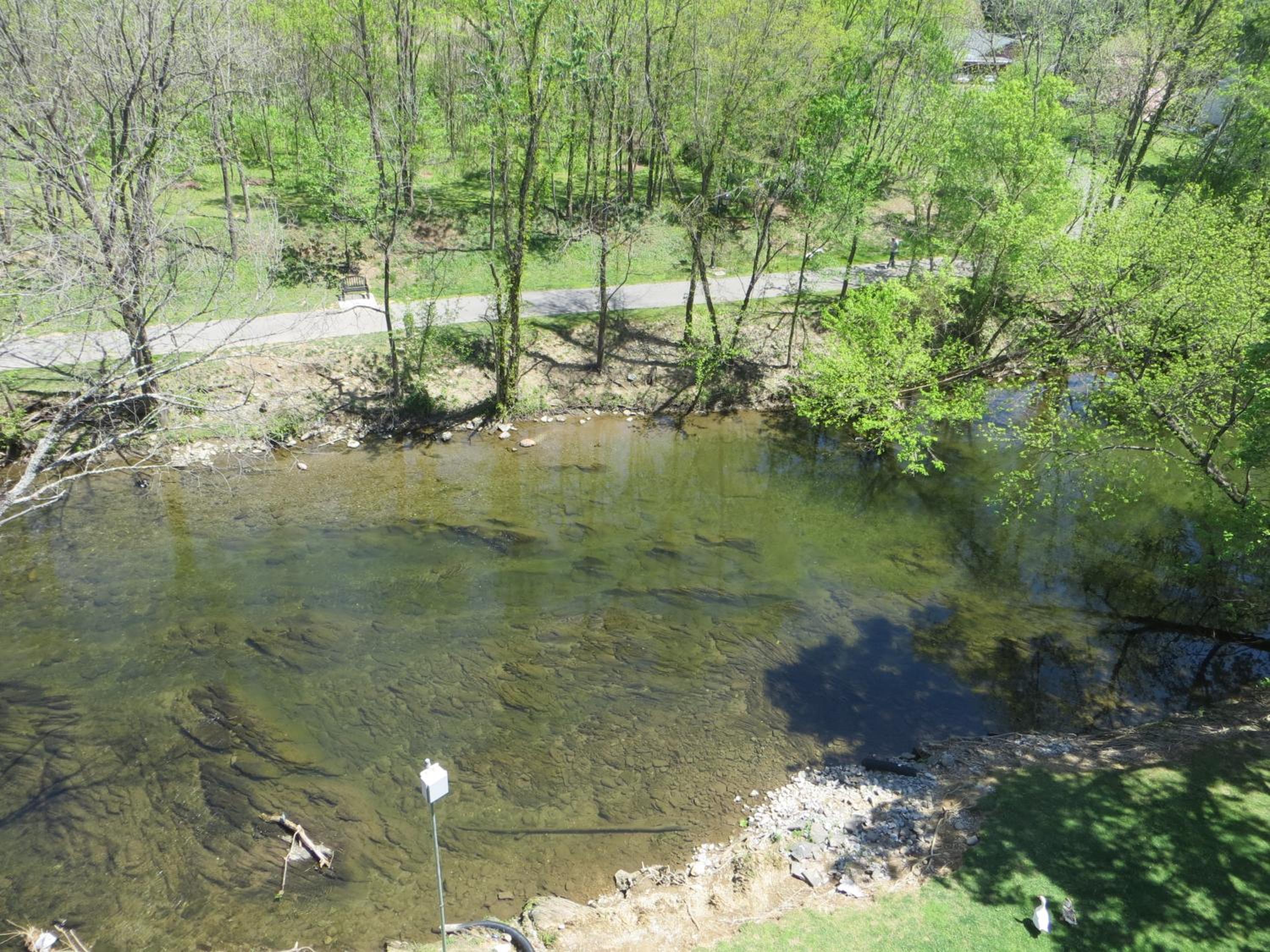 Photo 44