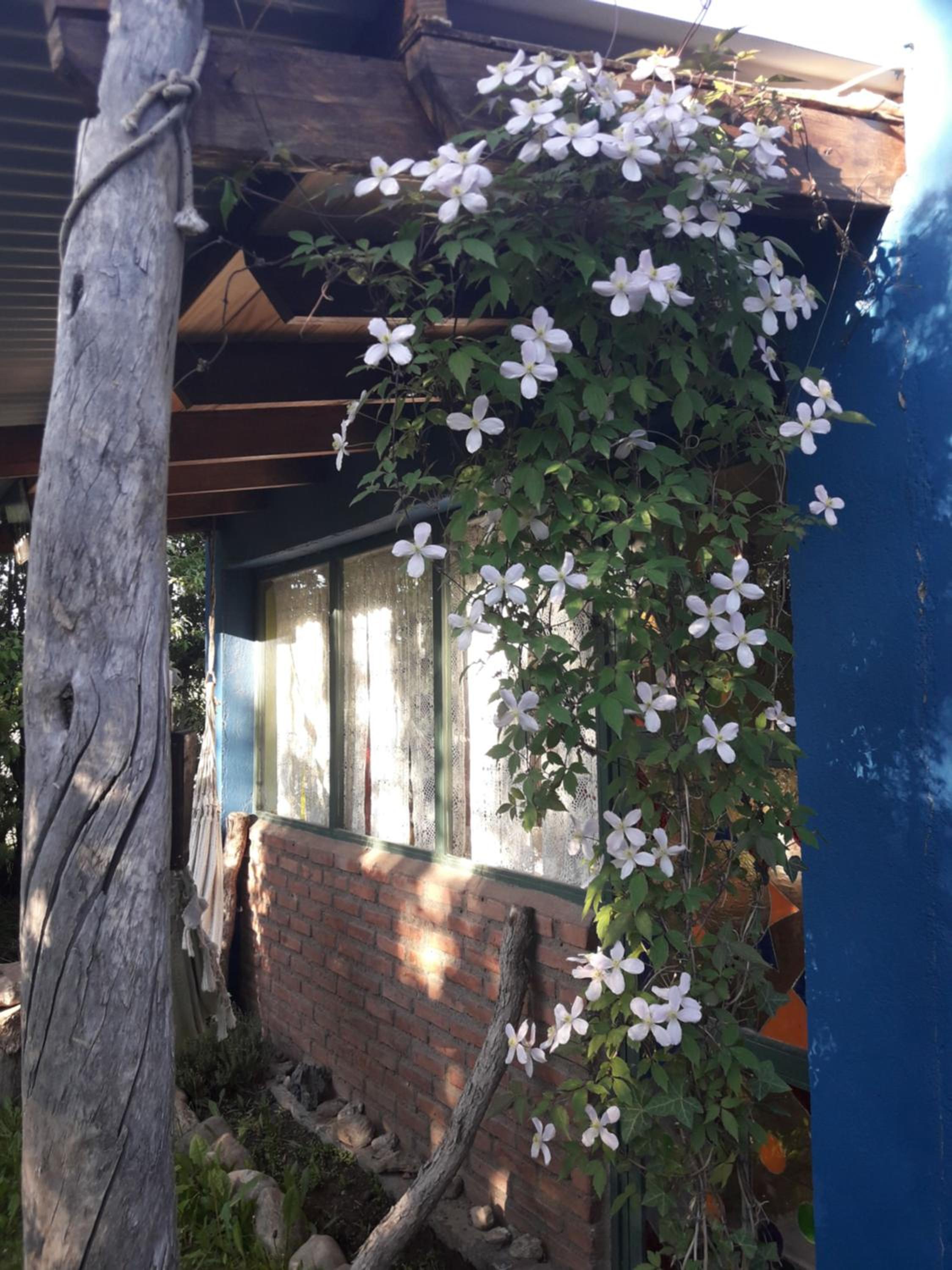 Kiritina´s House Homestay