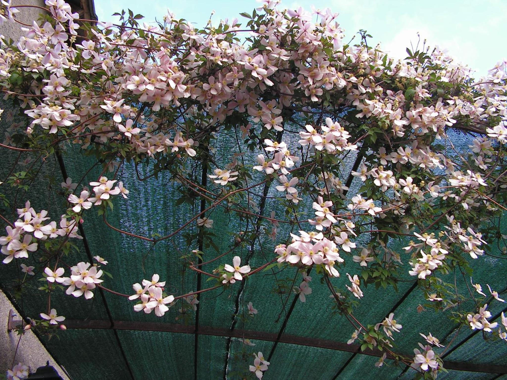 Photo 72