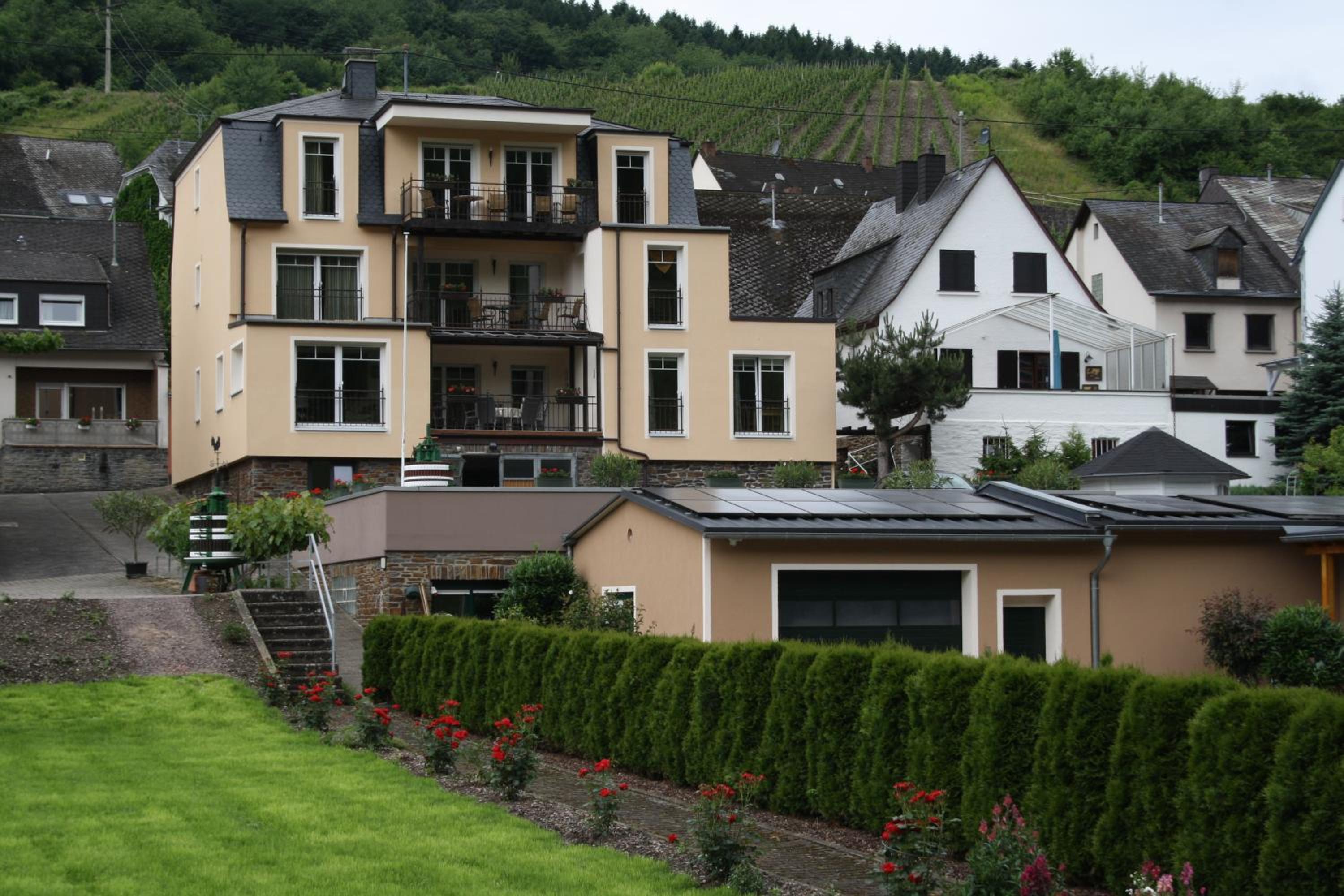 Weingut Goeres view 4