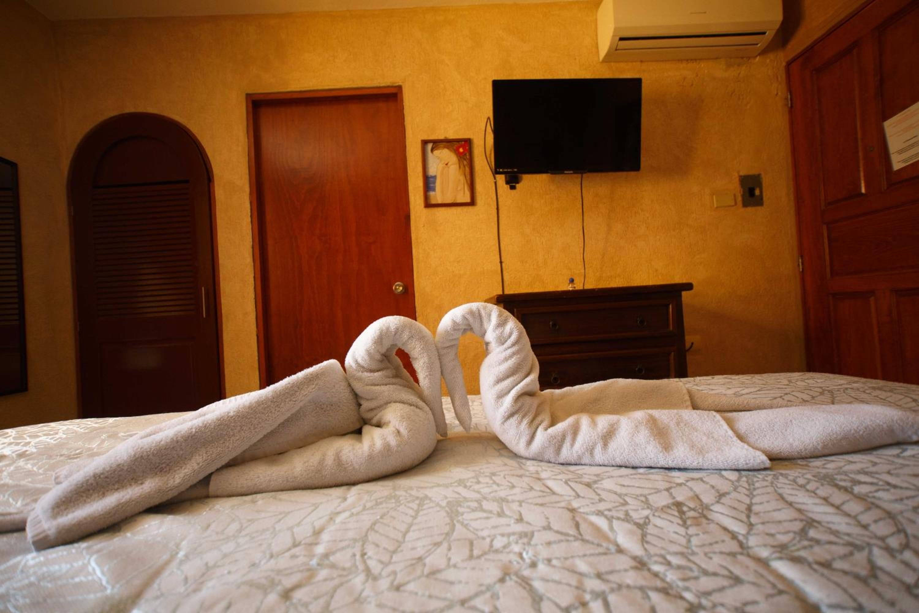Hotel La Casona Real - Image 5