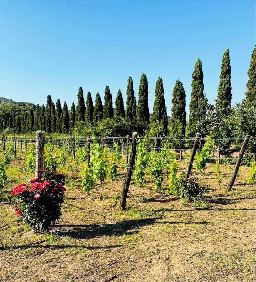 Casale Caterina Agriresort, photo 15