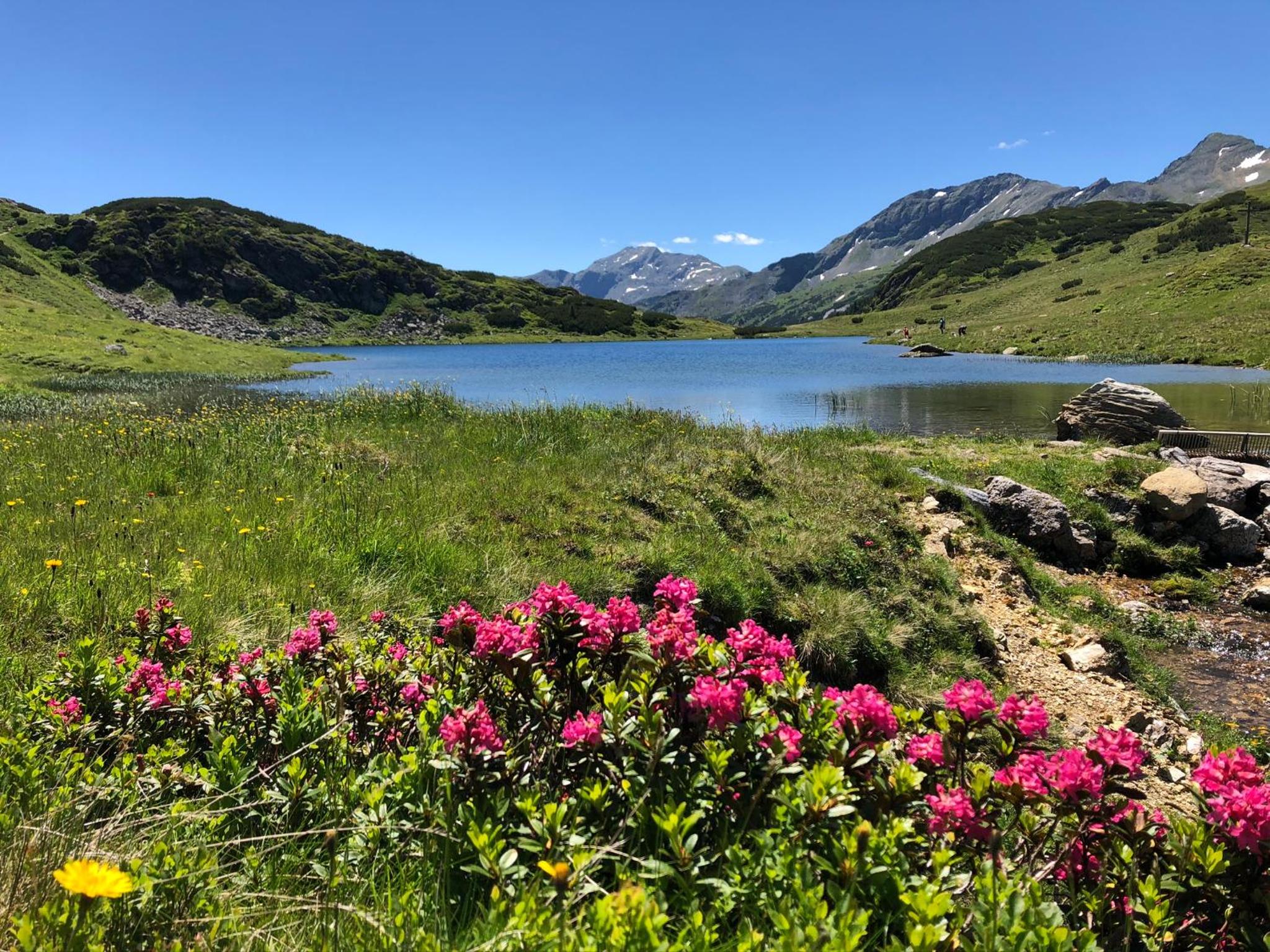 Ferienlodge Edelstein