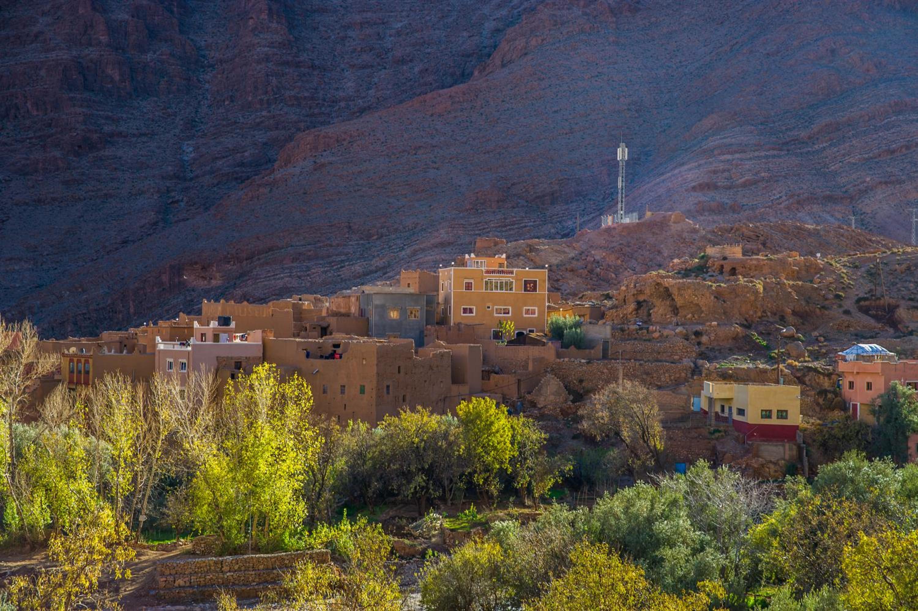 Les Jardins De Todgha gorges de todra tinghir