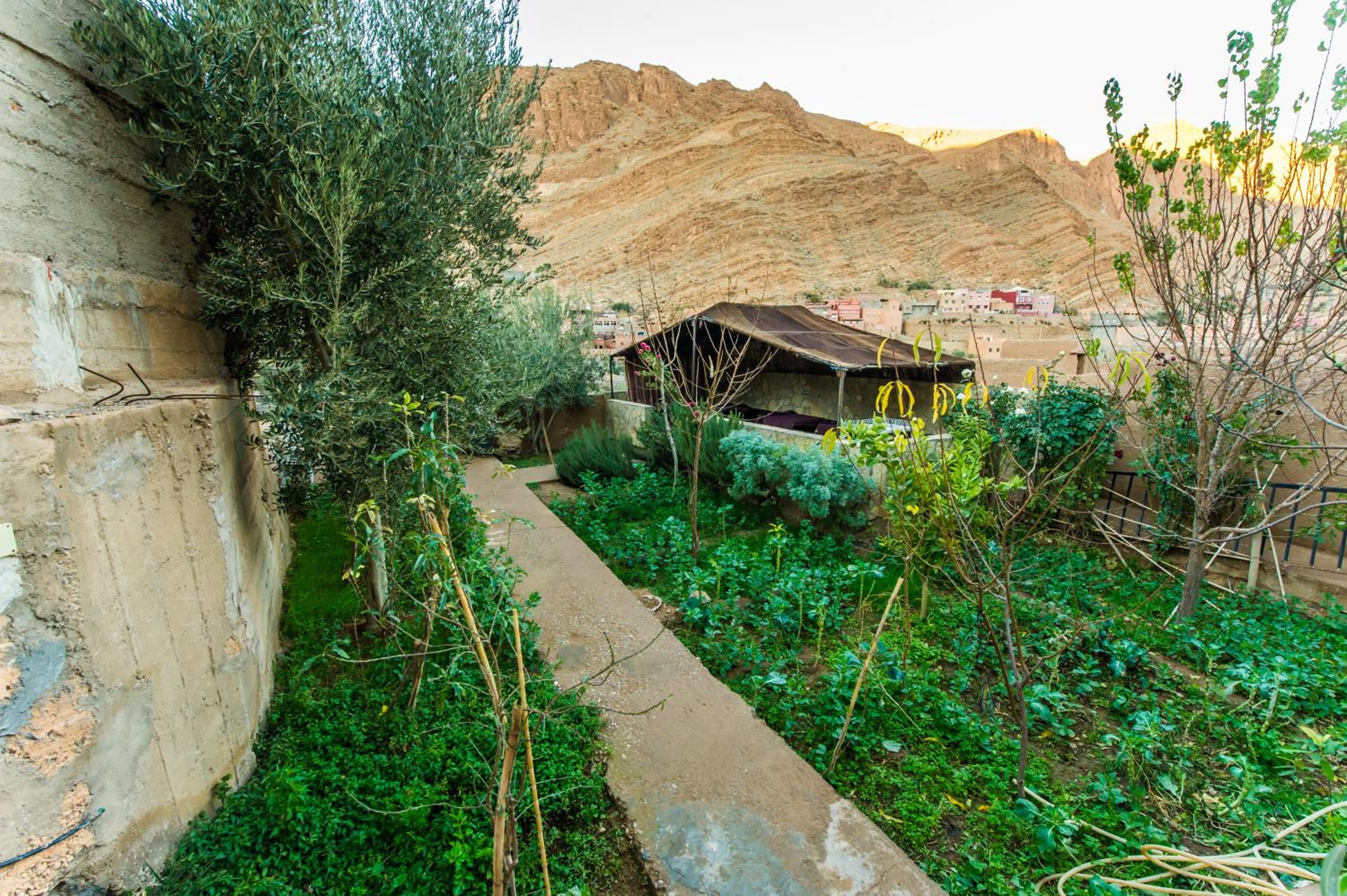 Les Jardins De Todgha gorges de todra tinghir
