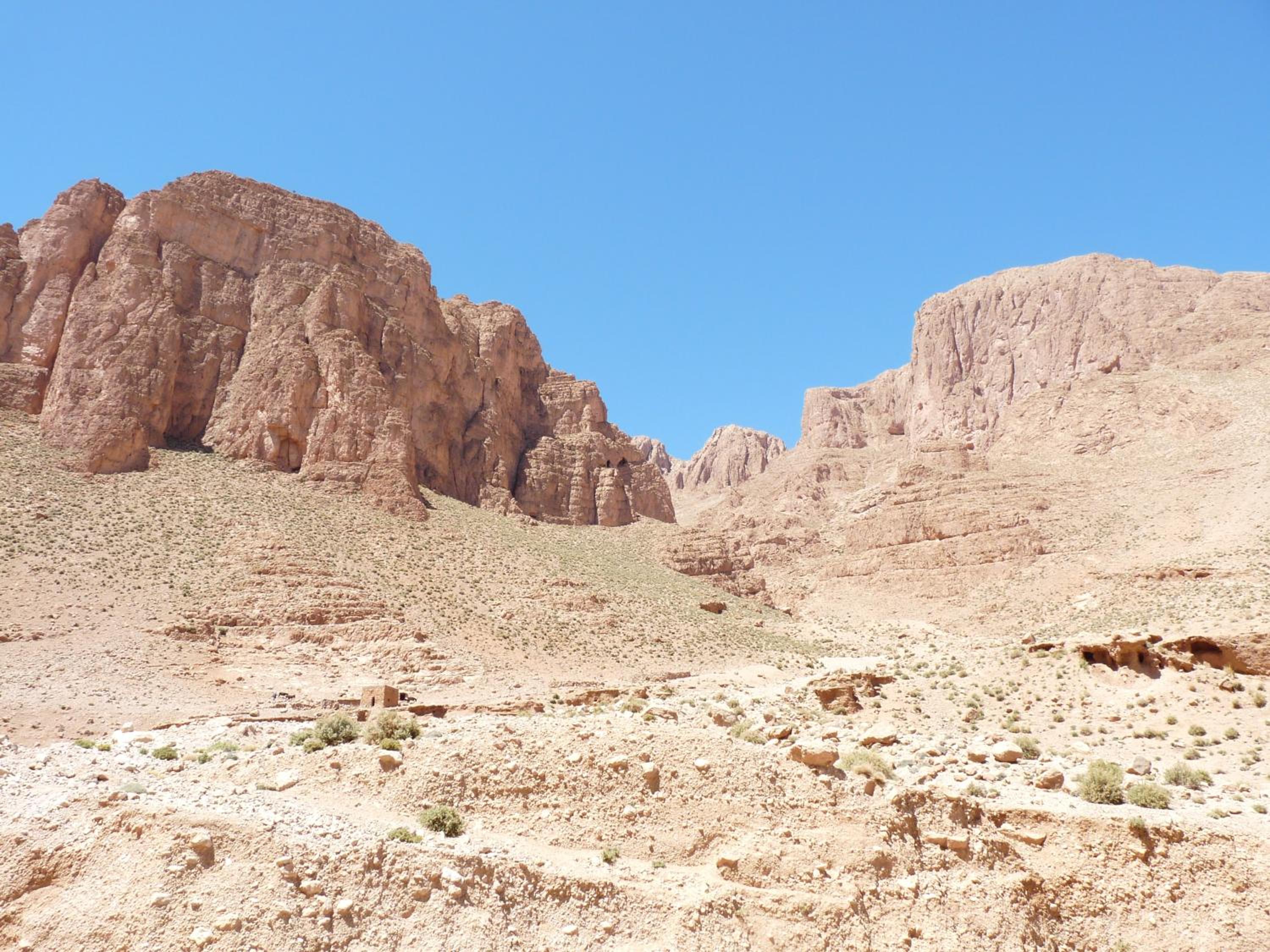 Les Jardins De Todgha gorges de todra tinghir