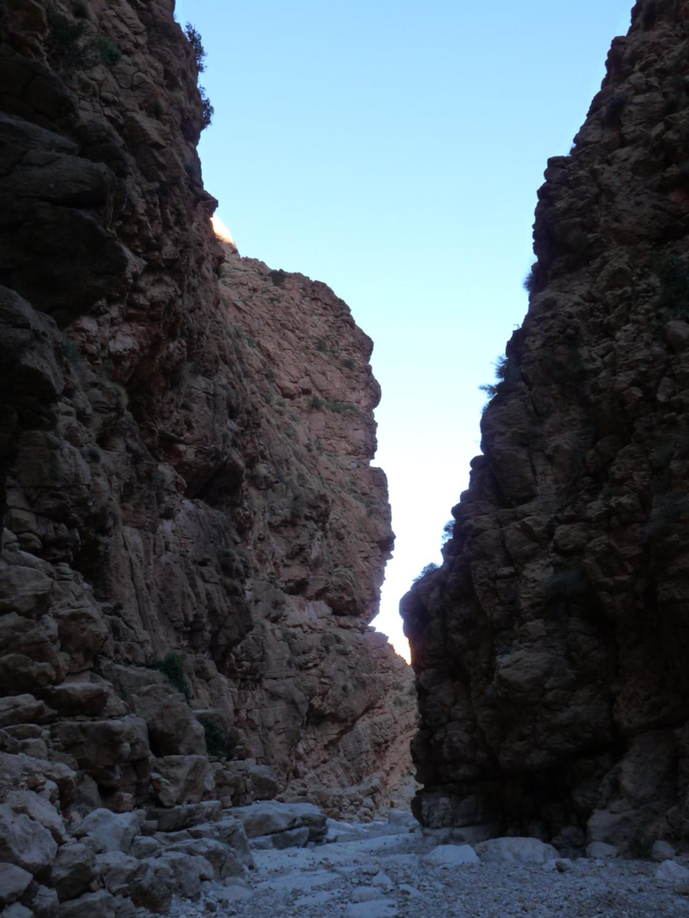 Les Jardins De Todgha gorges de todra tinghir