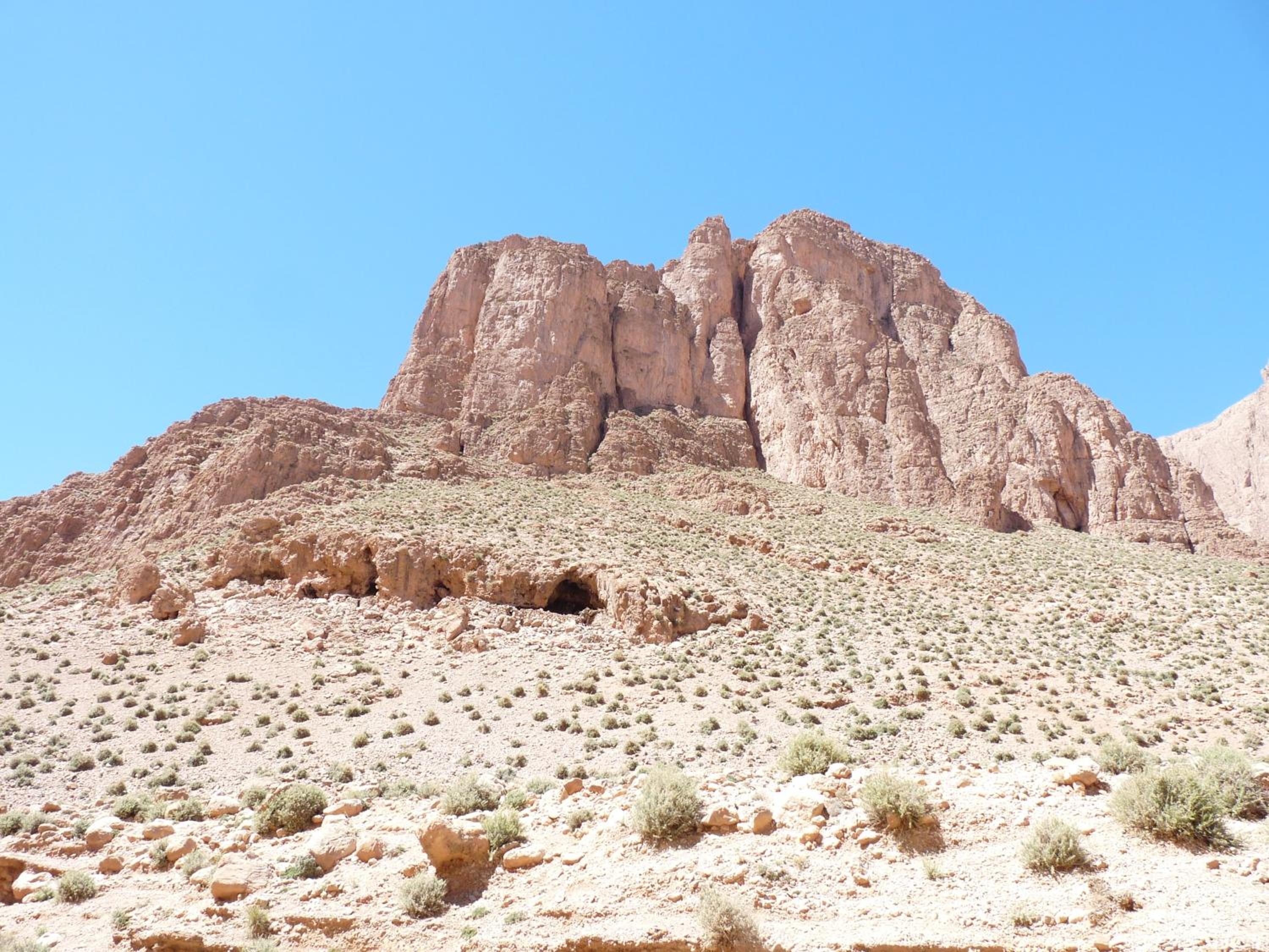 Les Jardins De Todgha gorges de todra tinghir