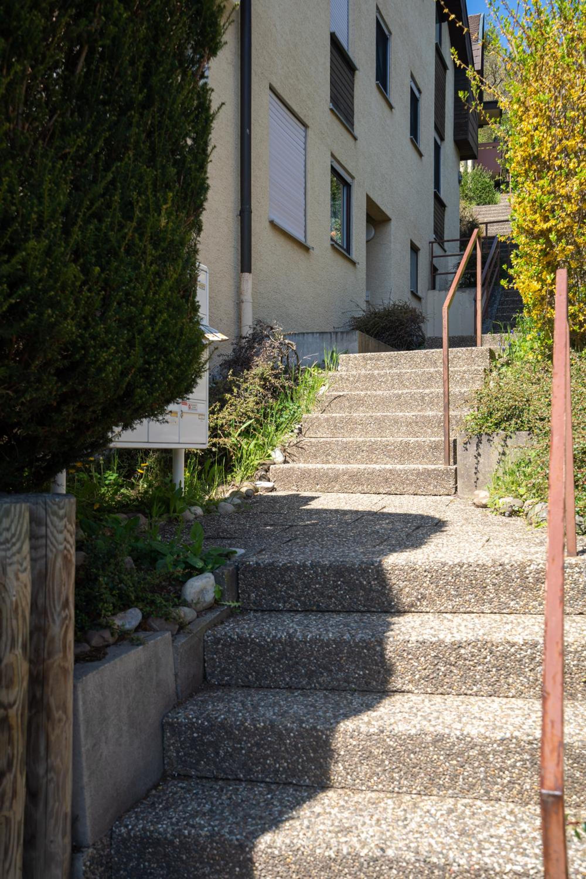 Photo 24