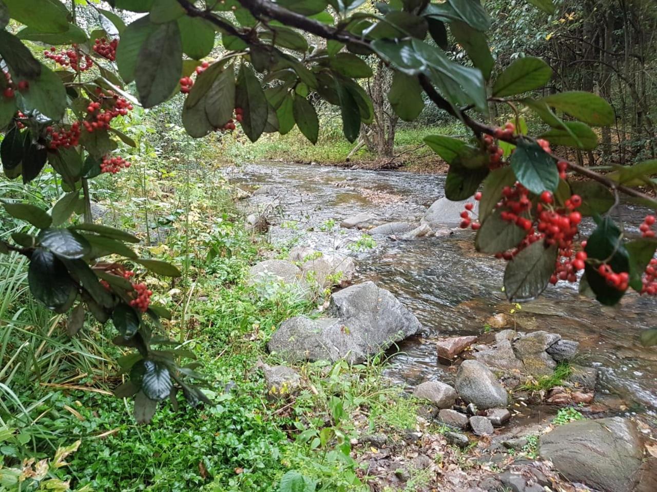 Rancho Taxco