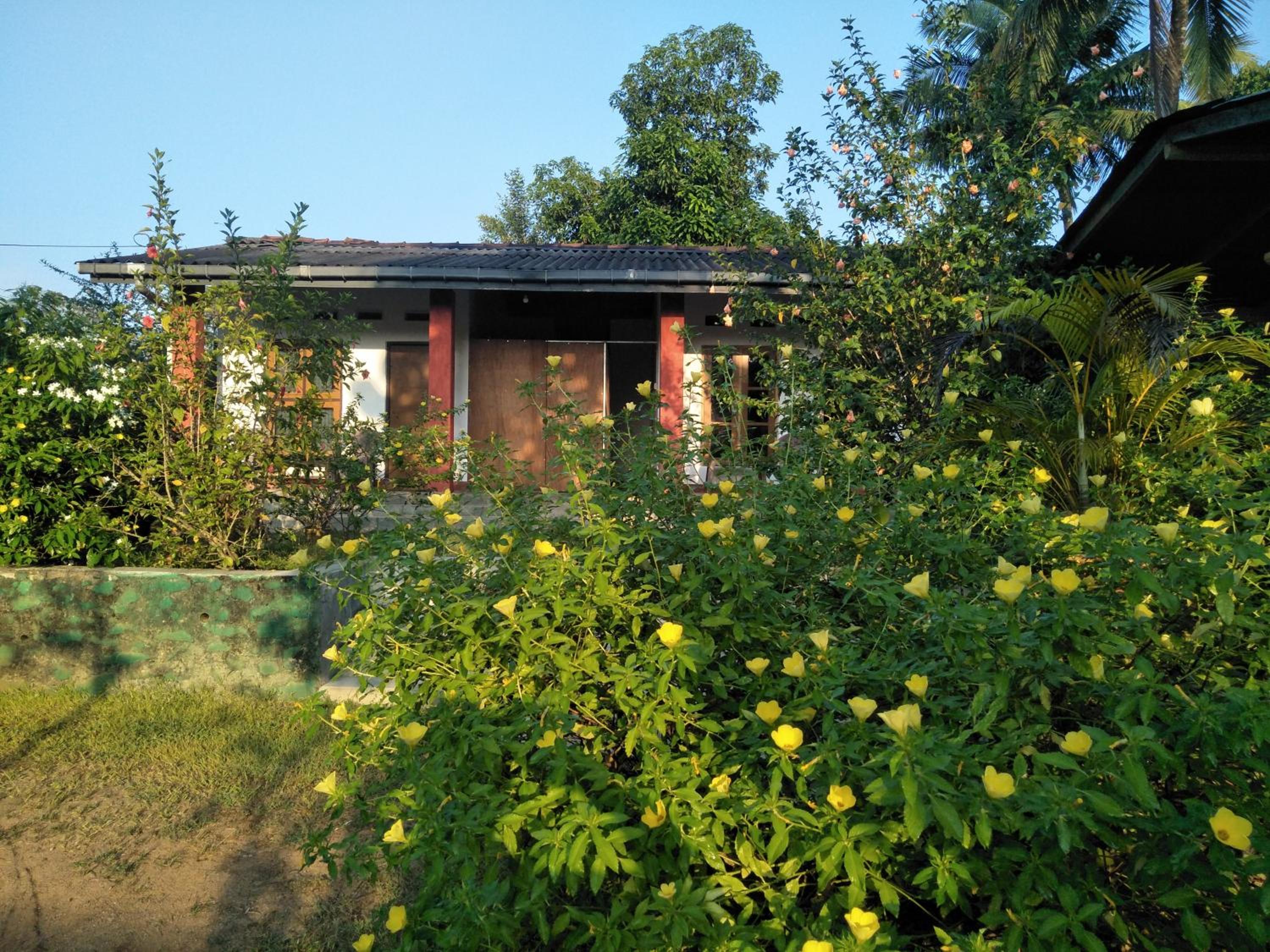 Photo 11
