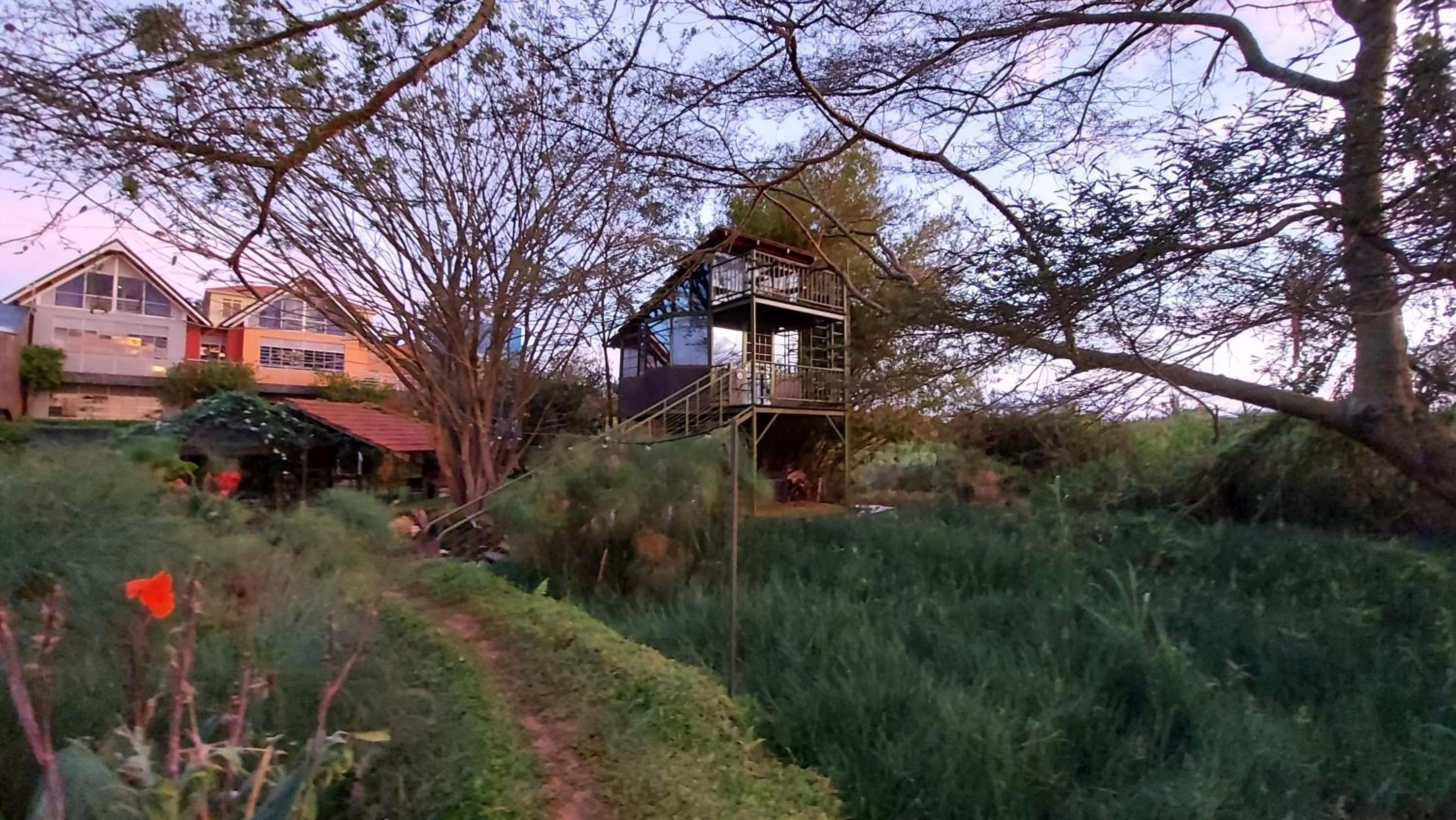 Yellow Haven Lodge