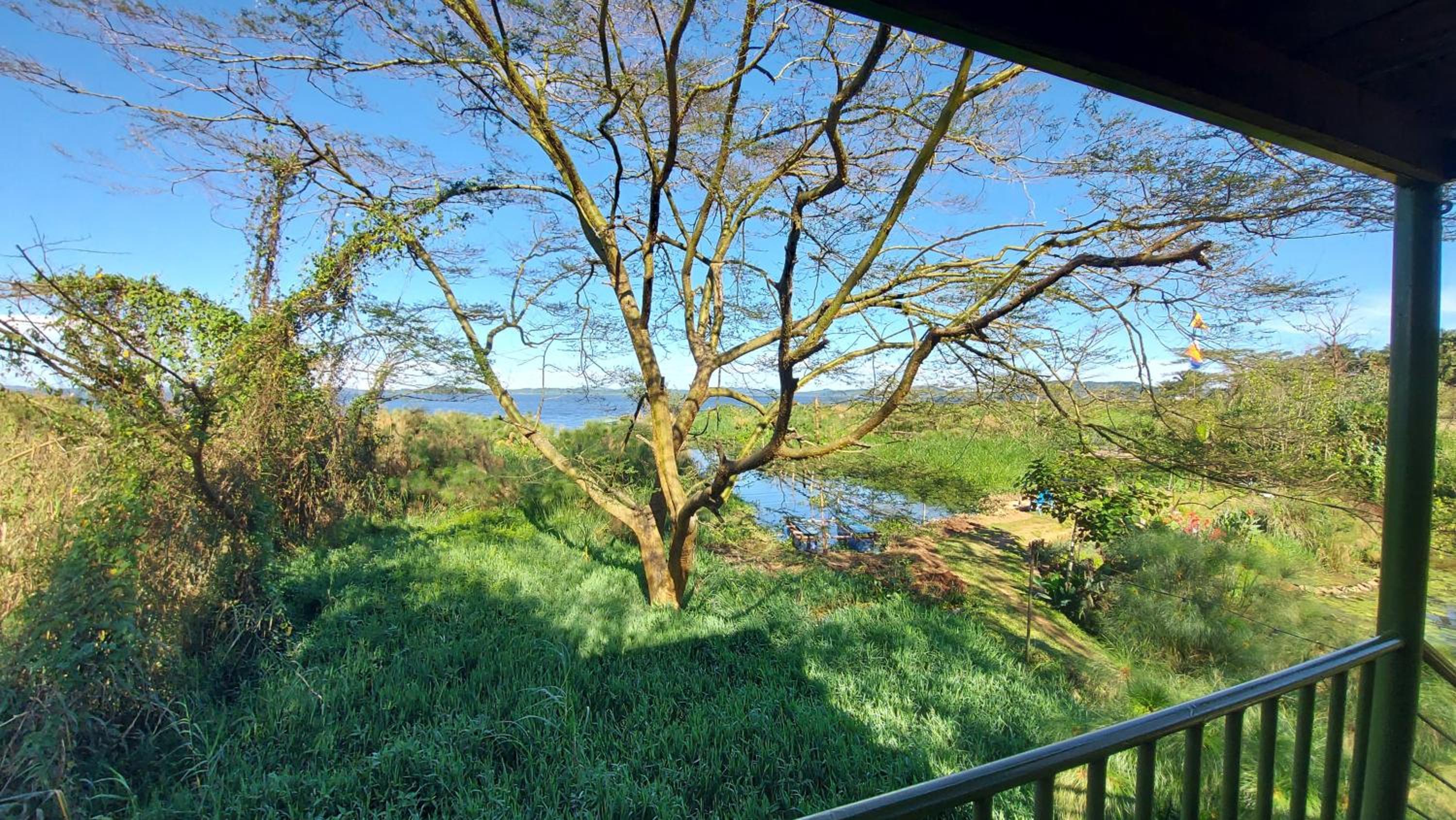 Yellow Haven Lodge
