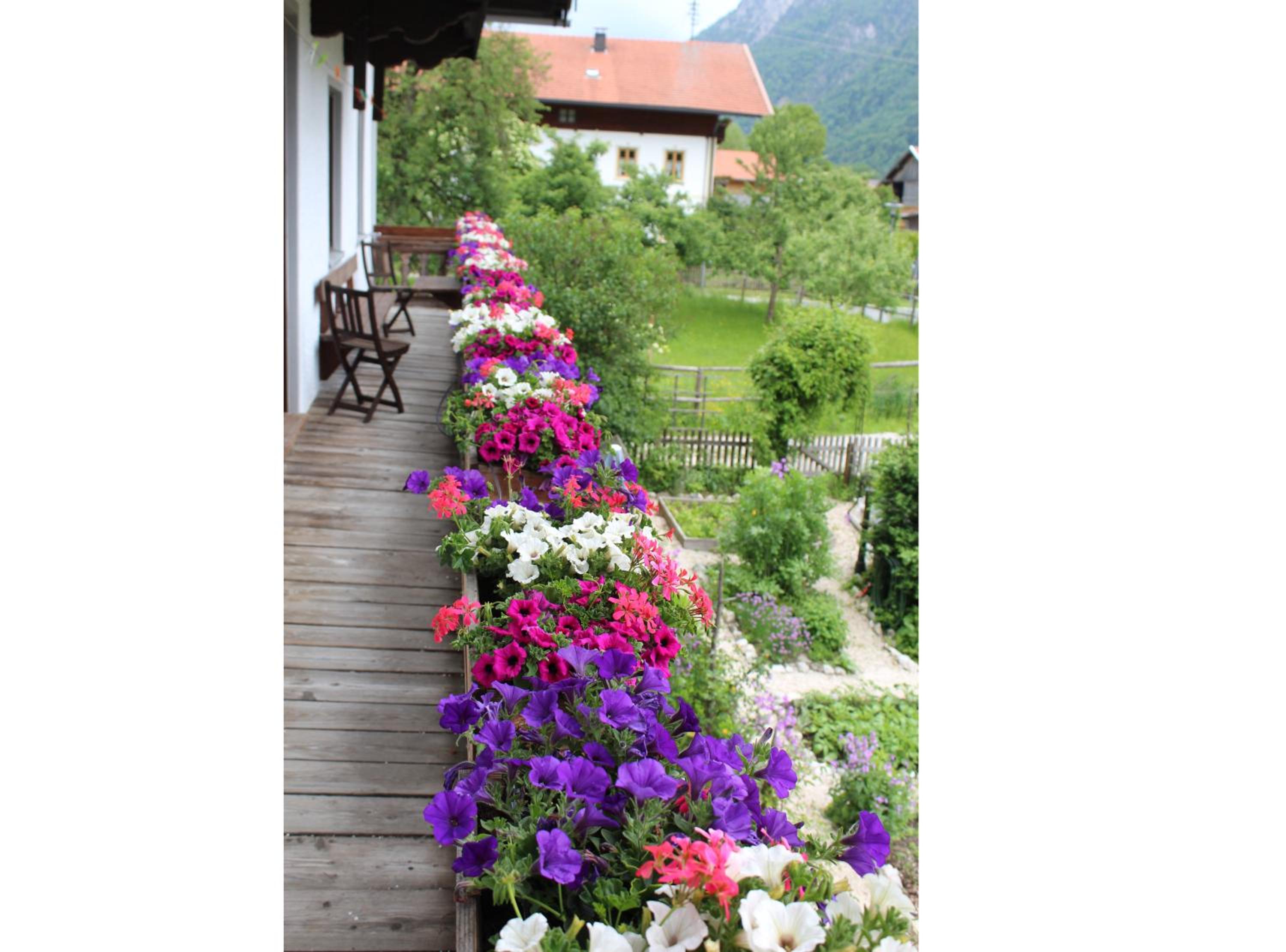 Grafn-Hof - Property Image 2