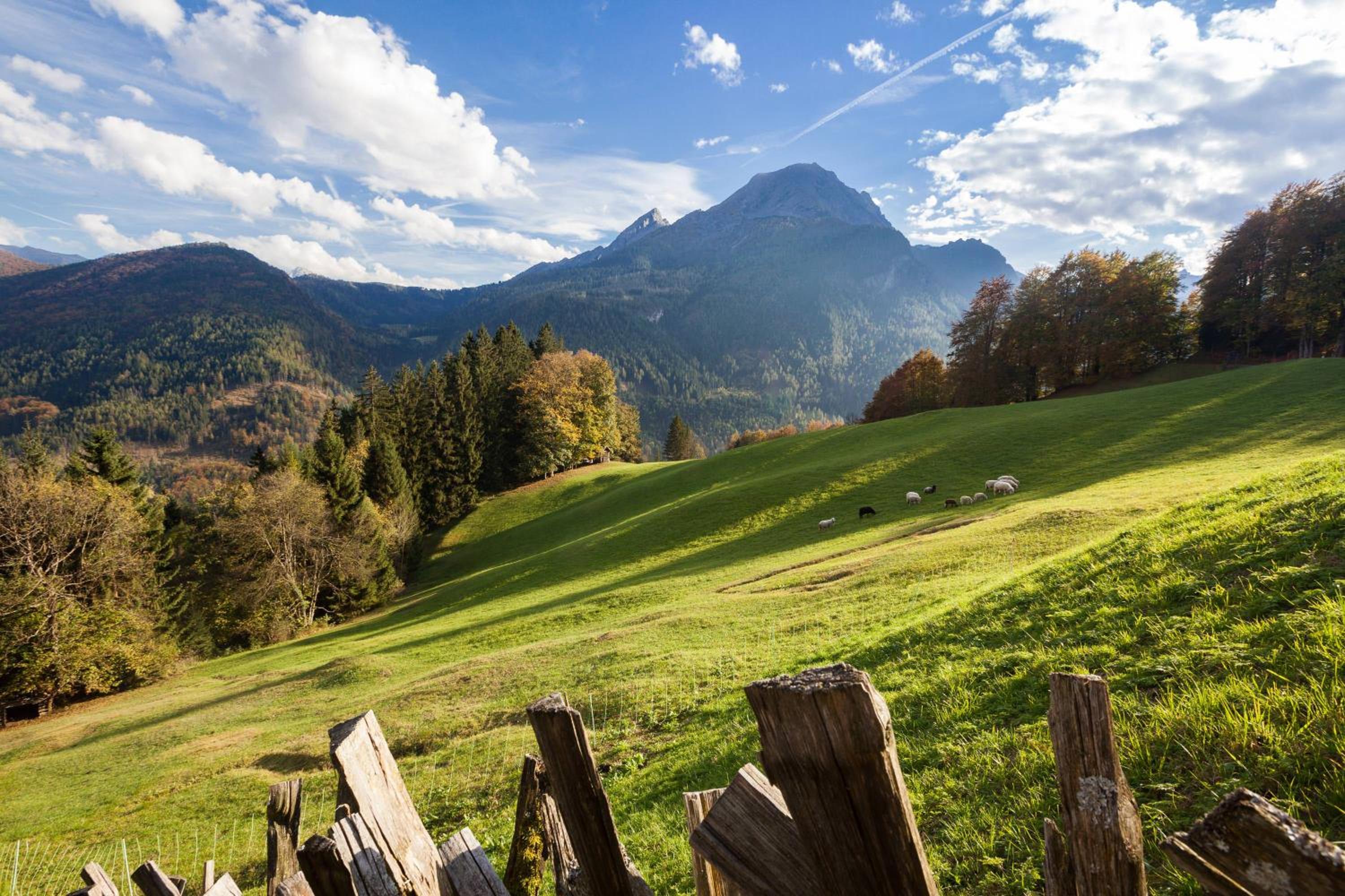 Ferienwohnungen Gerstreitlehen
