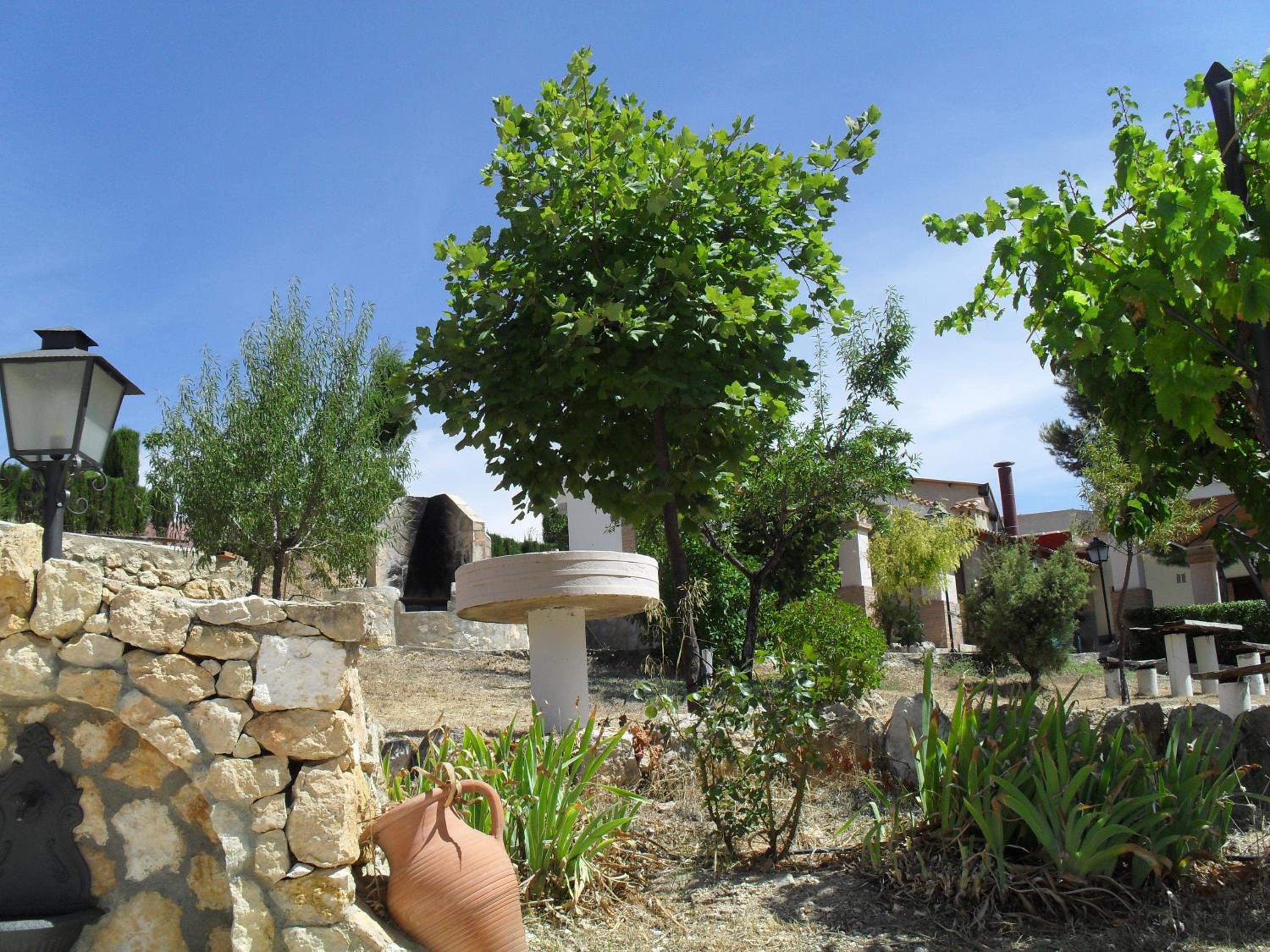 Photo 21