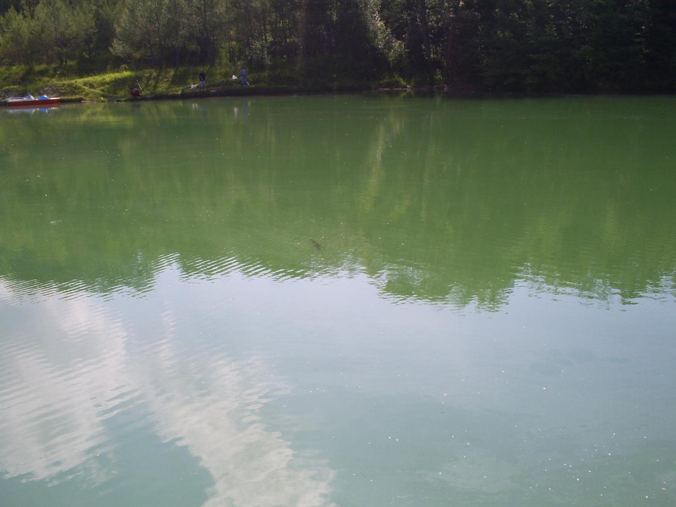 Photo 22