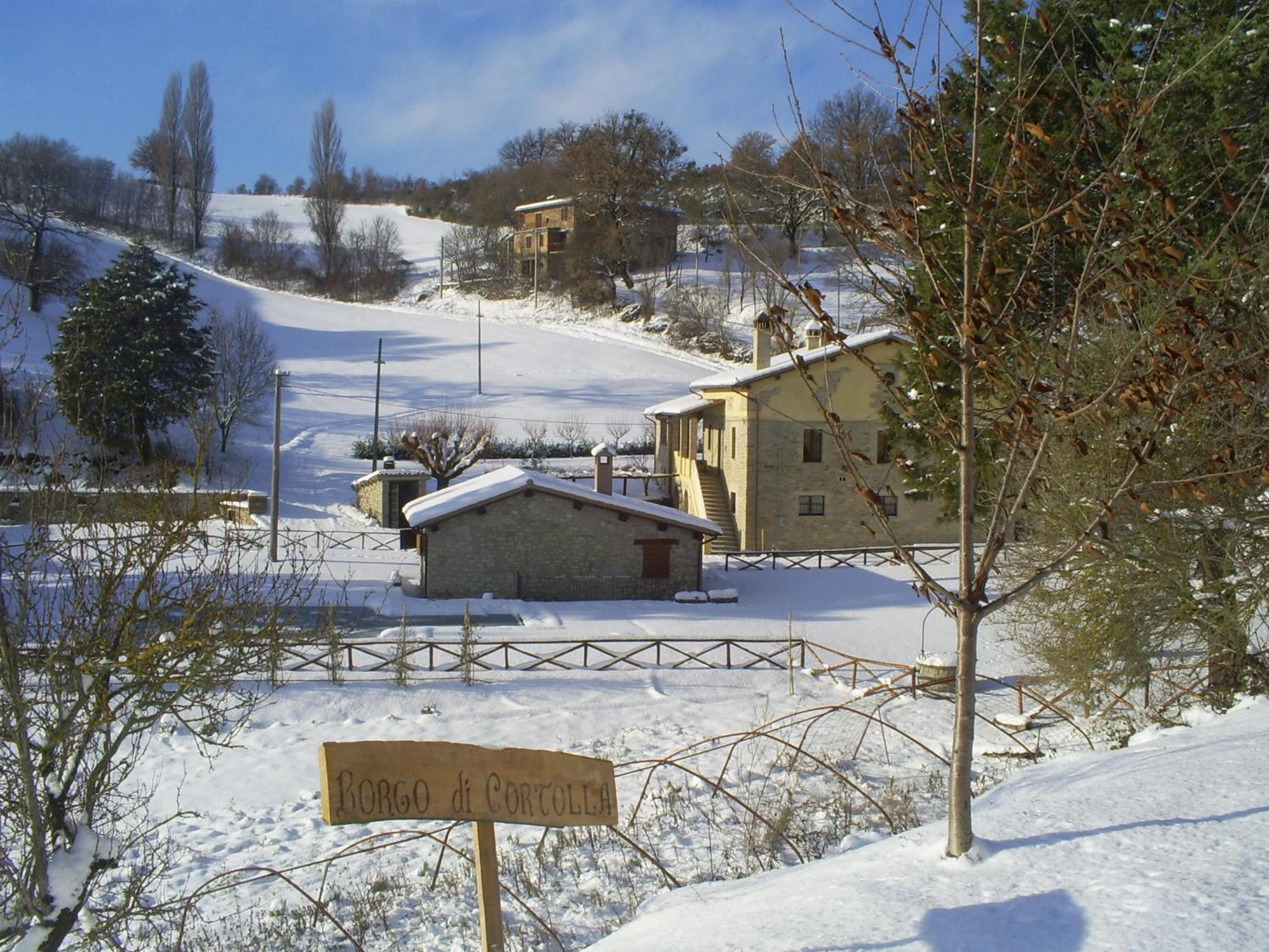 Photo 23