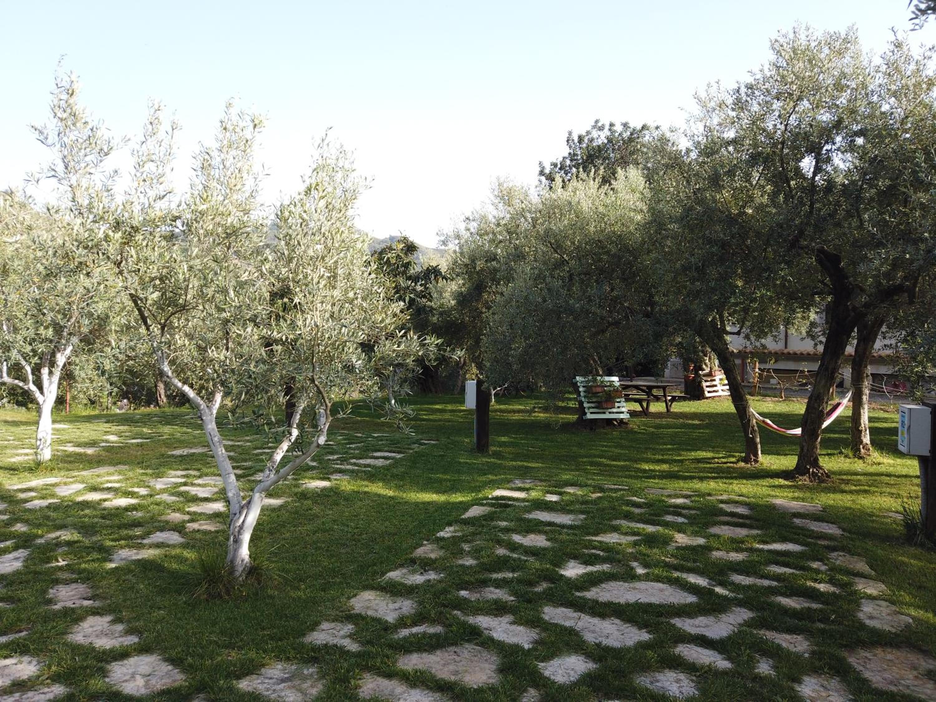 Photo 44