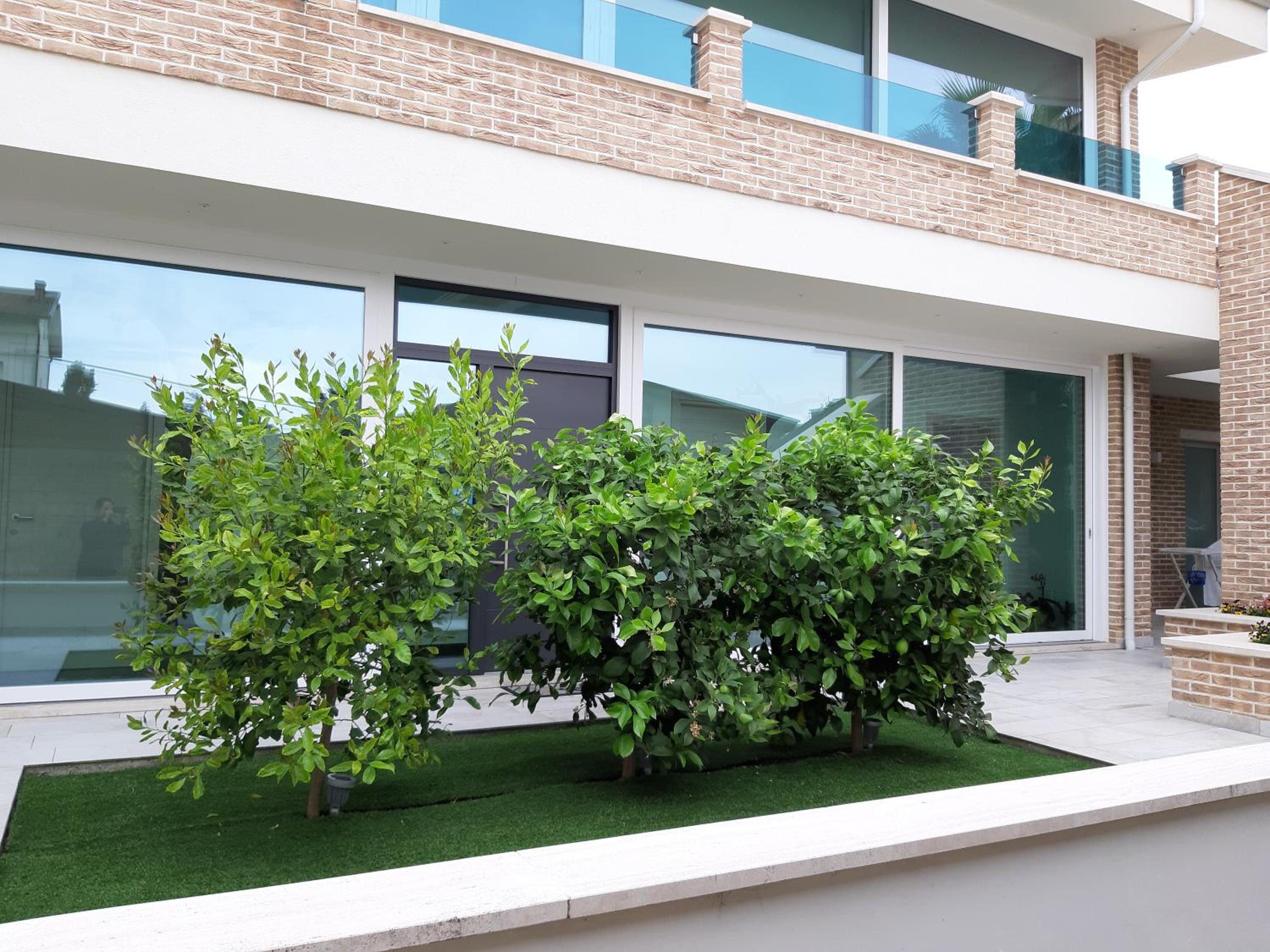 la casa dei limoni view 5